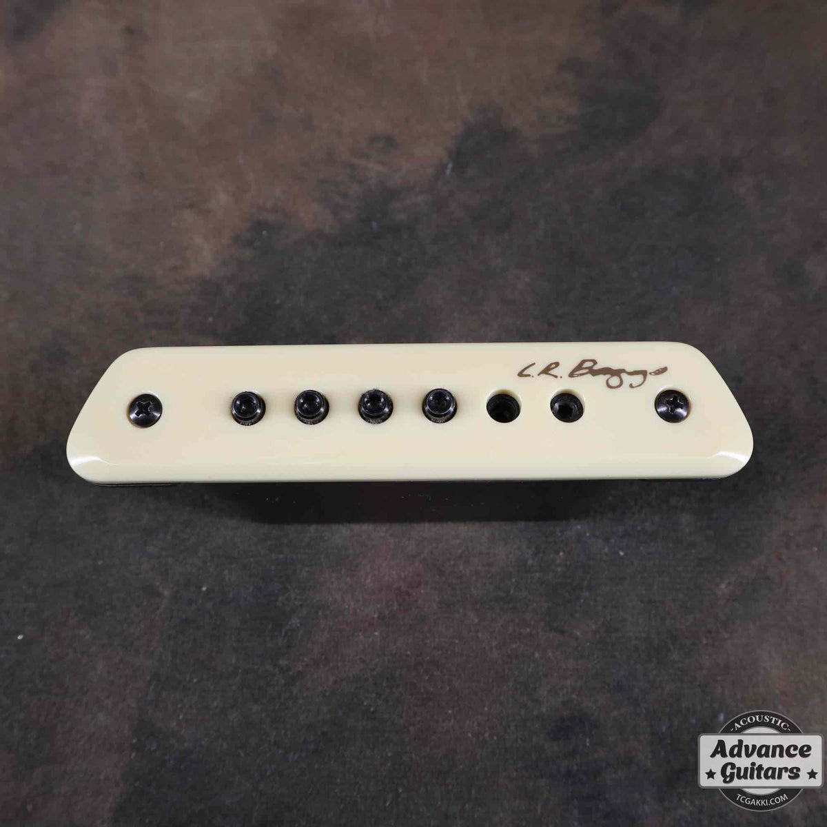 L.R.Baggs M1 Passive
