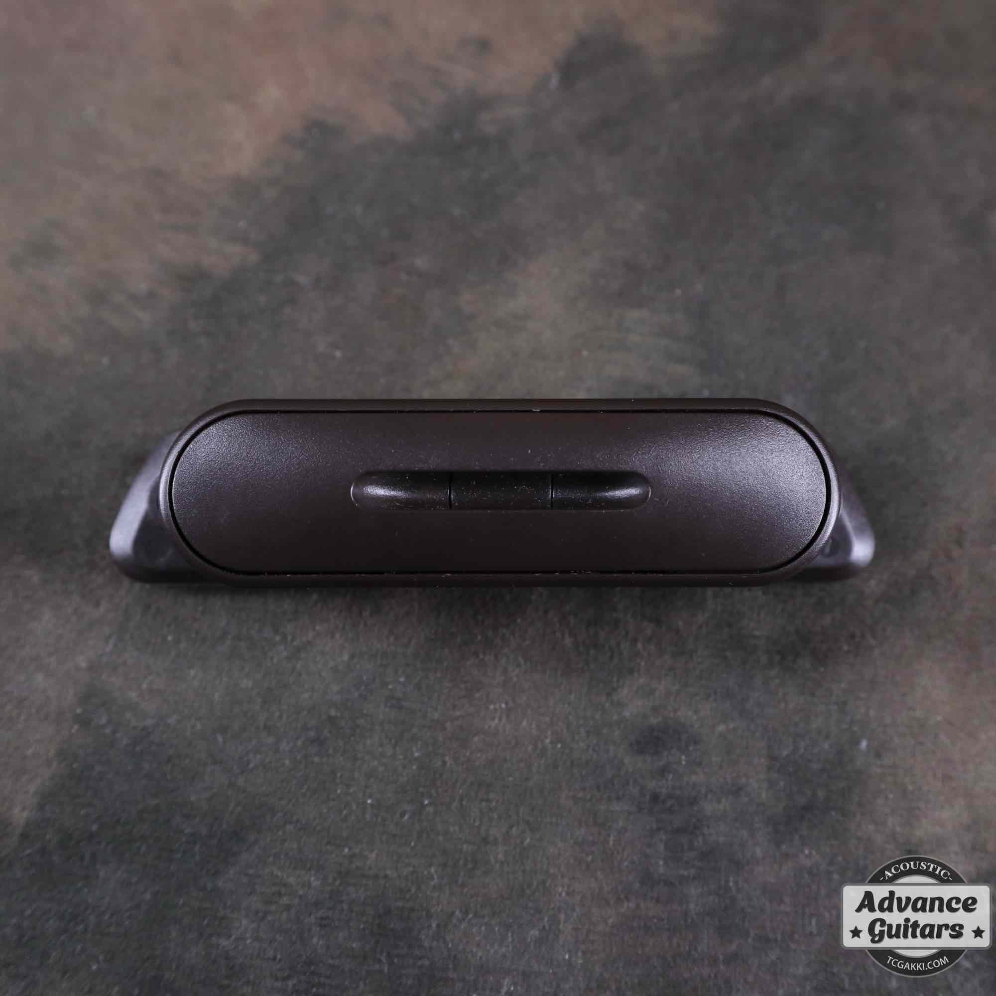 L.R.Baggs M1 Passive