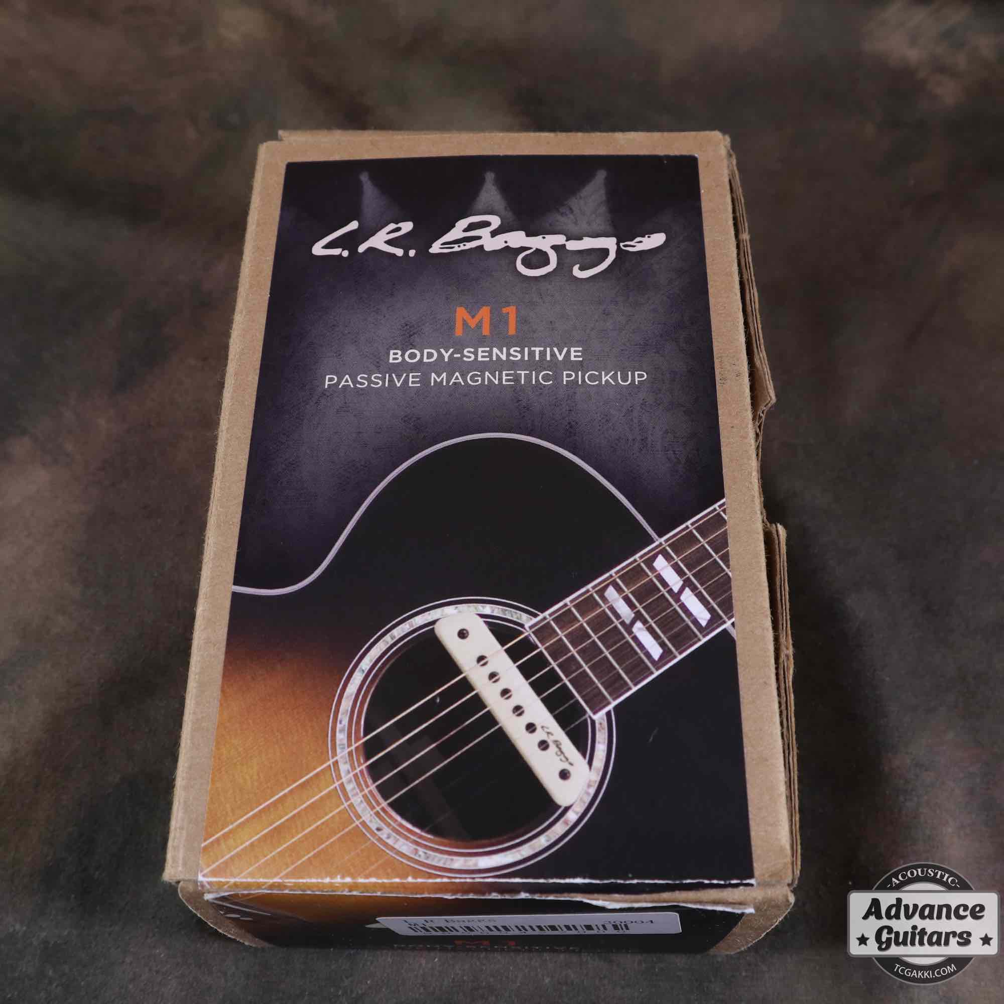 L.R.Baggs M1 Passive