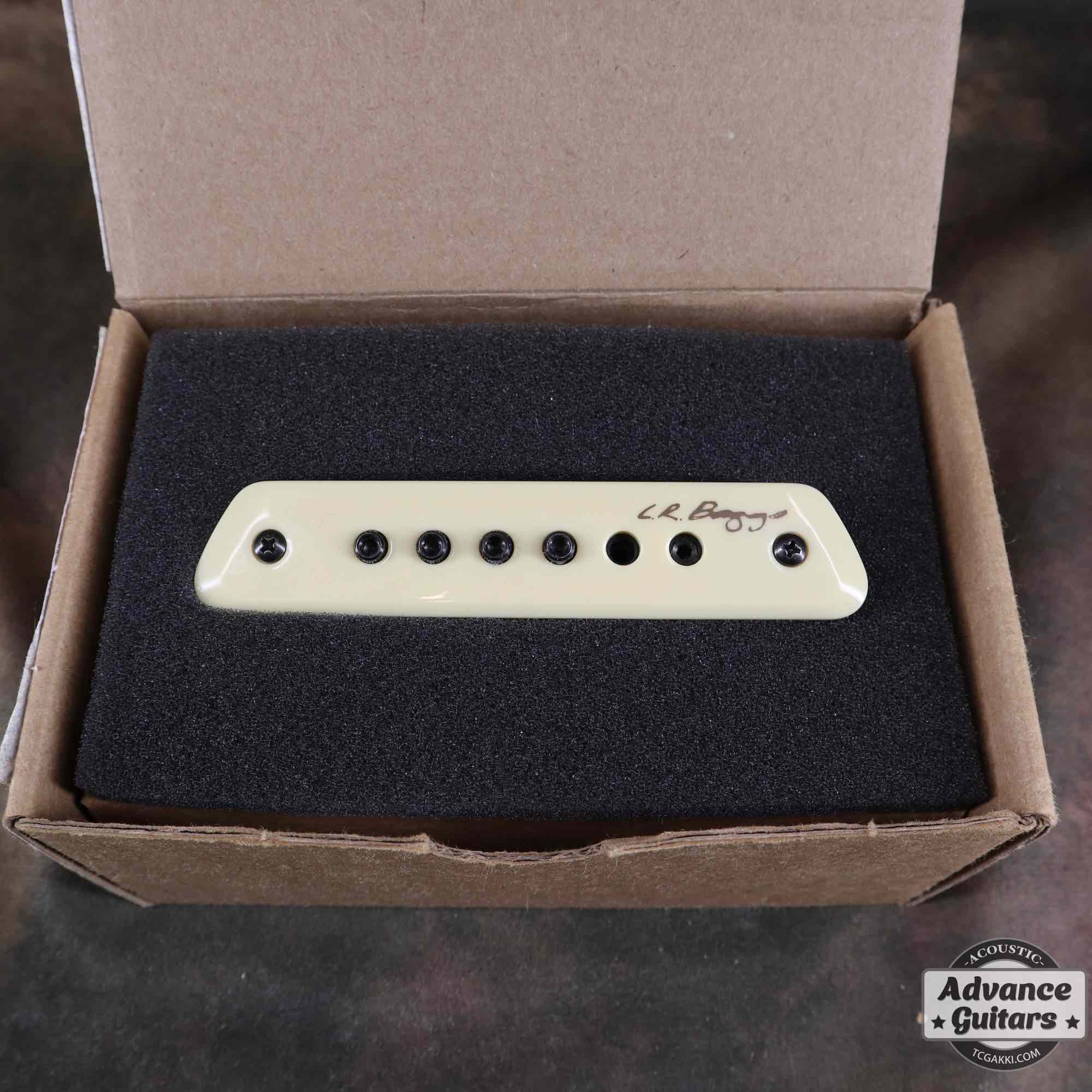 L.R.Baggs M1 Passive