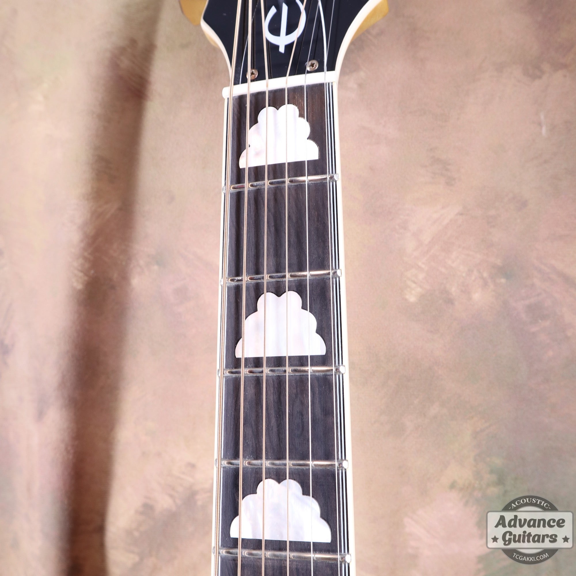Epiphone 2021年製 FT120 Masterbilt Excellente