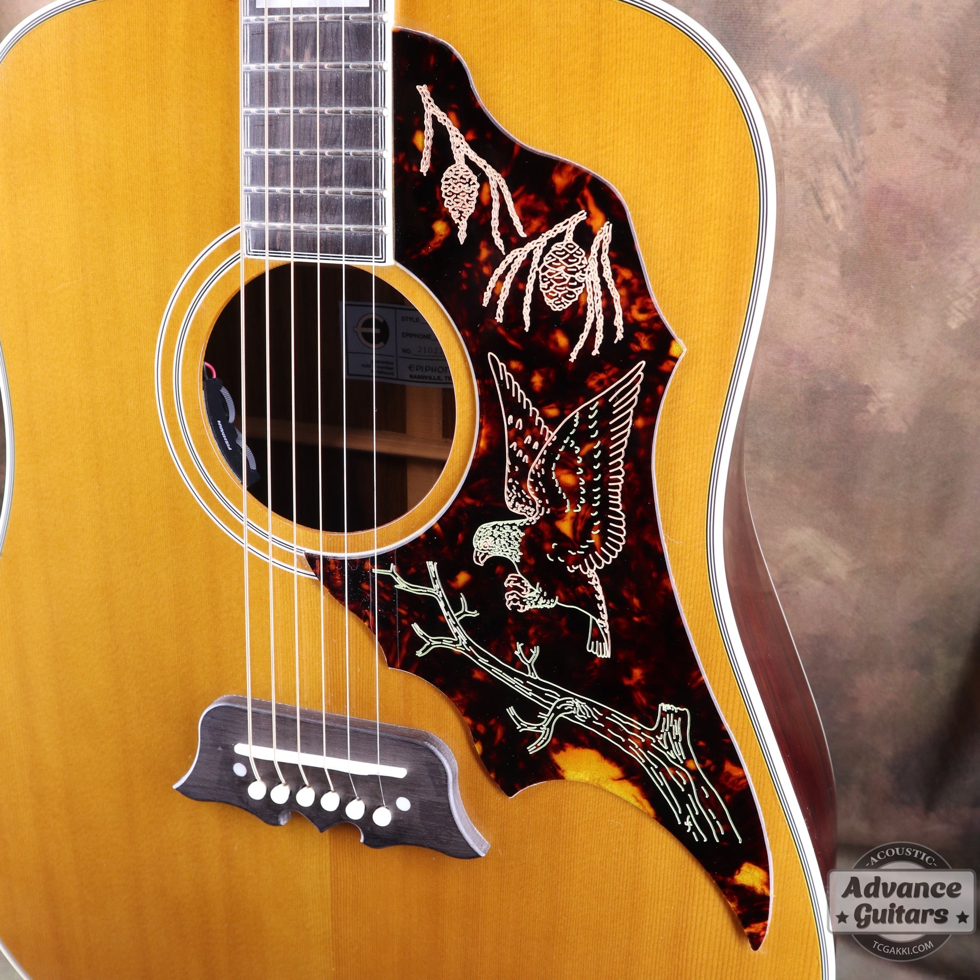 Epiphone 2021年製 FT120 Masterbilt Excellente