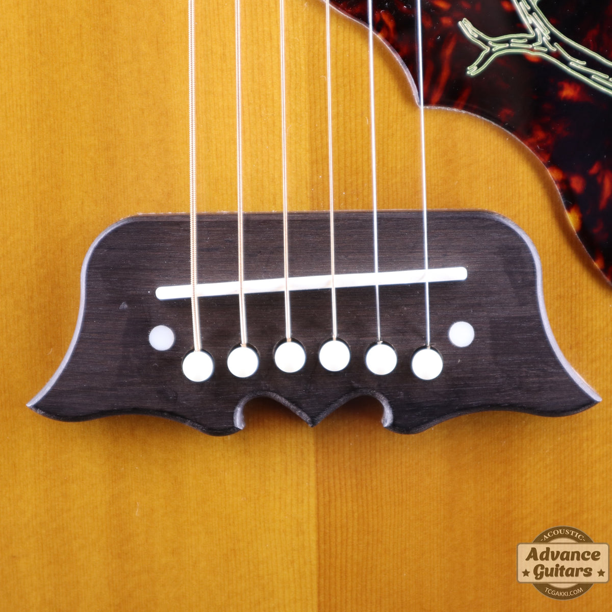 Epiphone 2021年製 FT120 Masterbilt Excellente