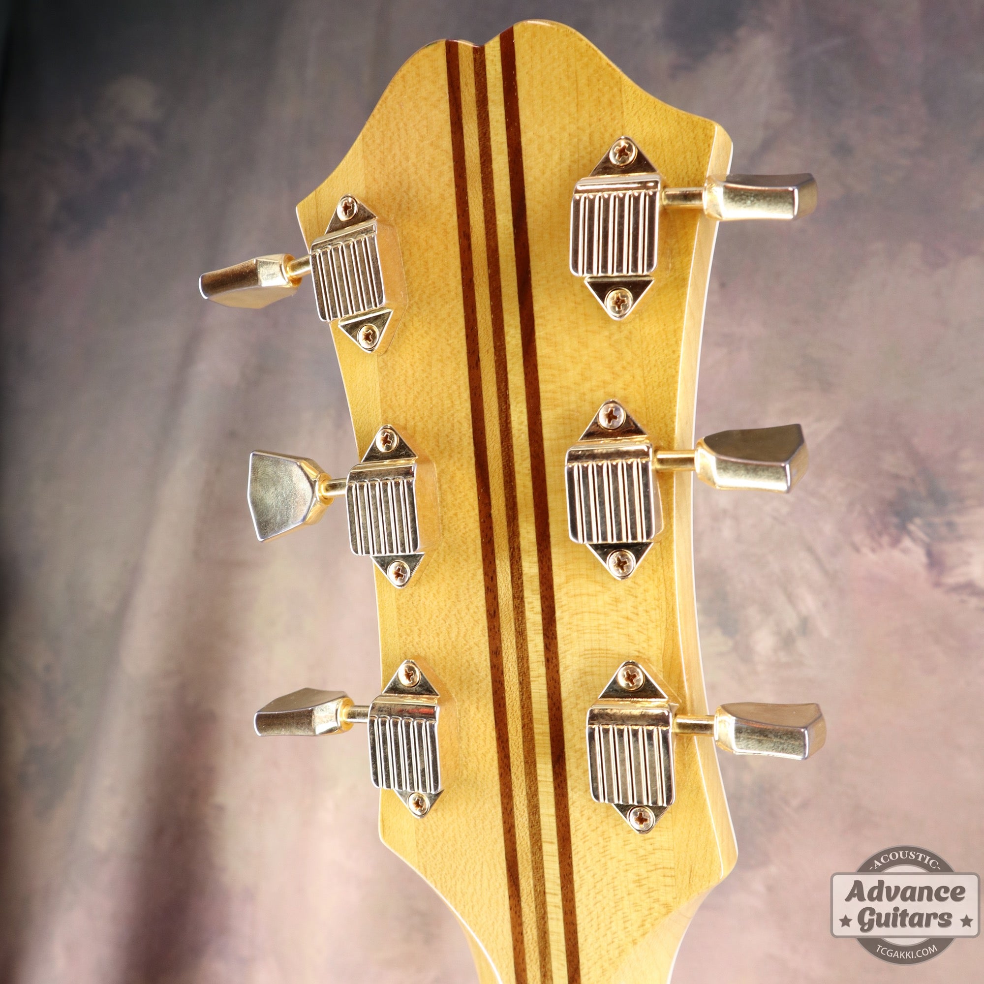 Epiphone 2021年製 FT120 Masterbilt Excellente