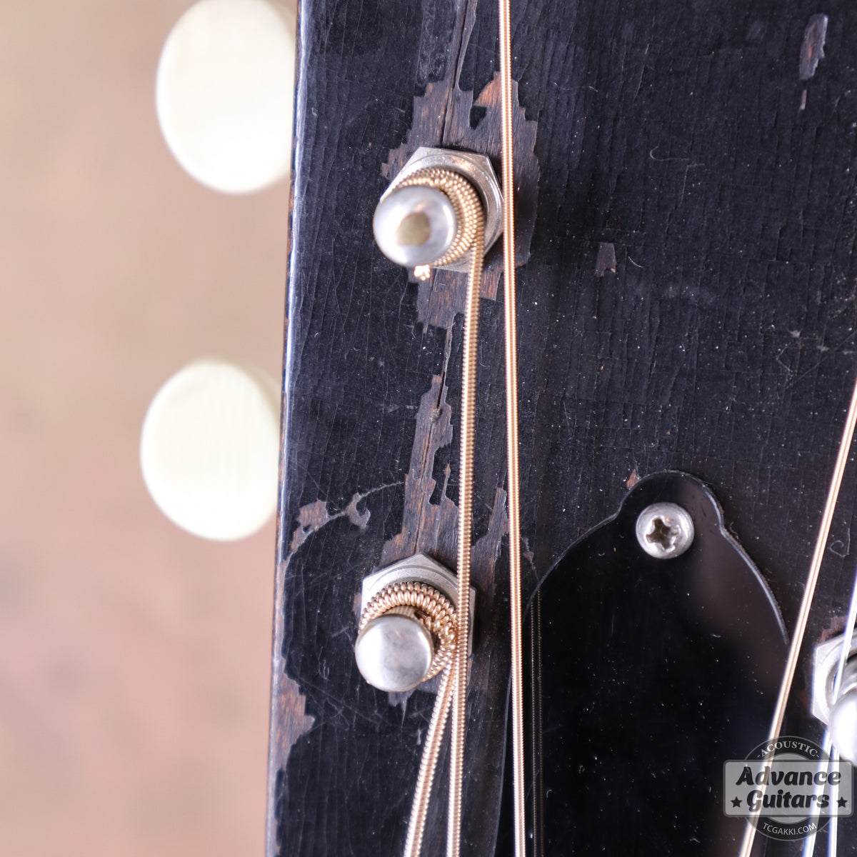 Gibson 1935年製 L-50