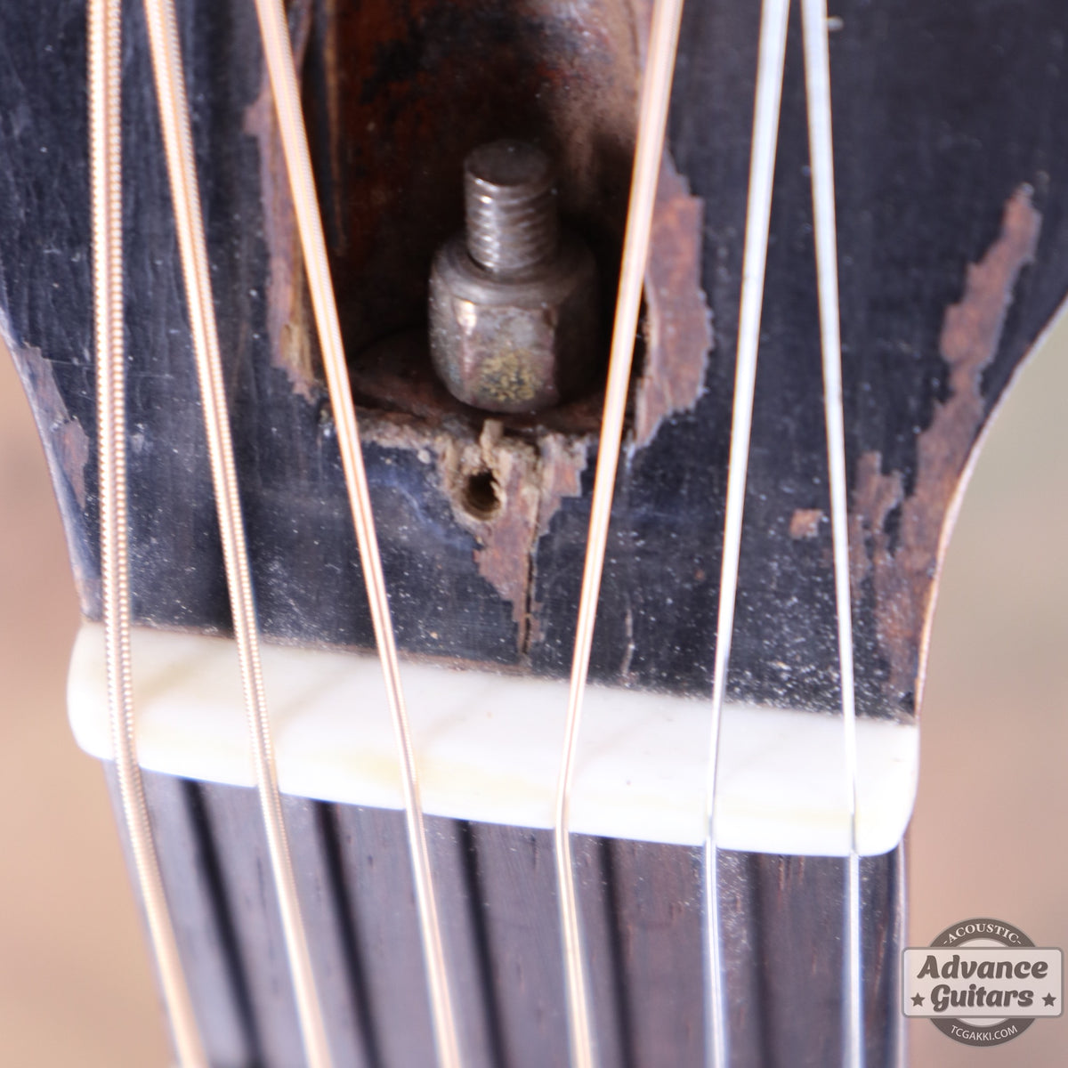 Gibson 1935年製 L-50