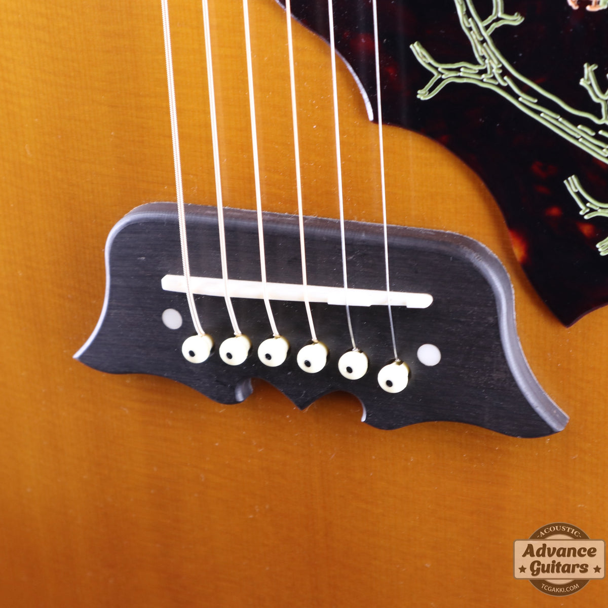 Epiphone 2023年製 Masterbilt Excellente FT120