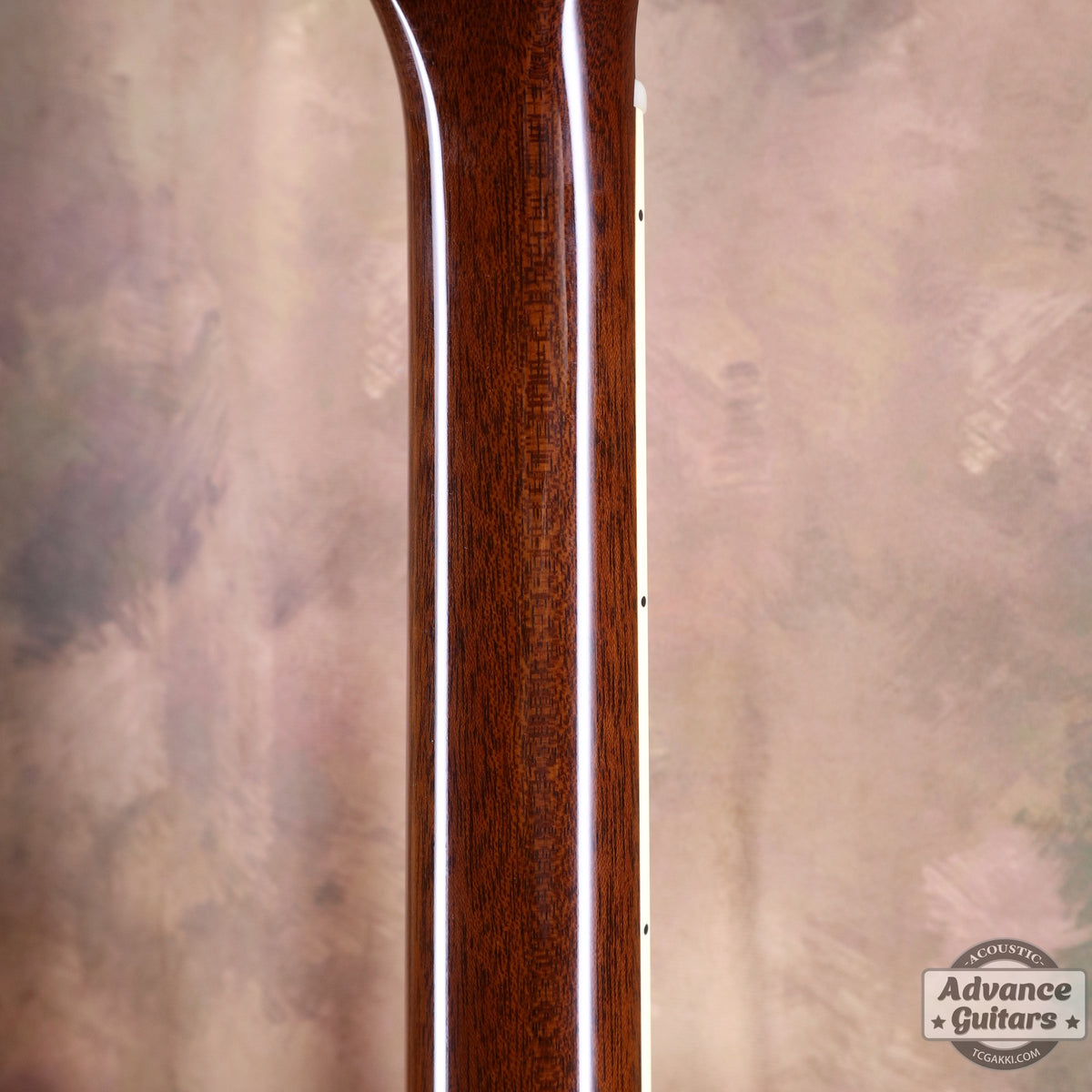 Archtop Tribute AT50C