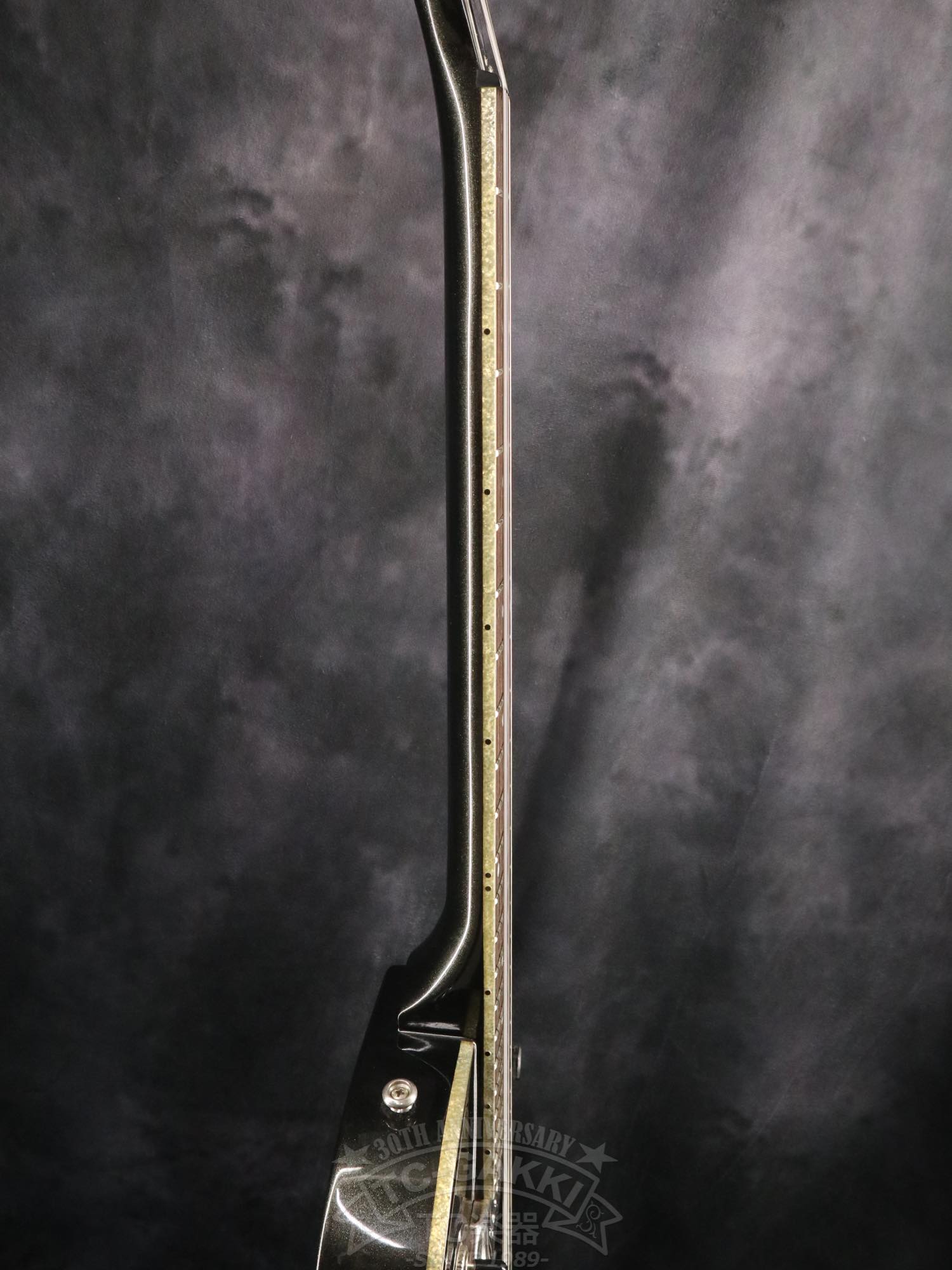 Epiphone WILDKAT