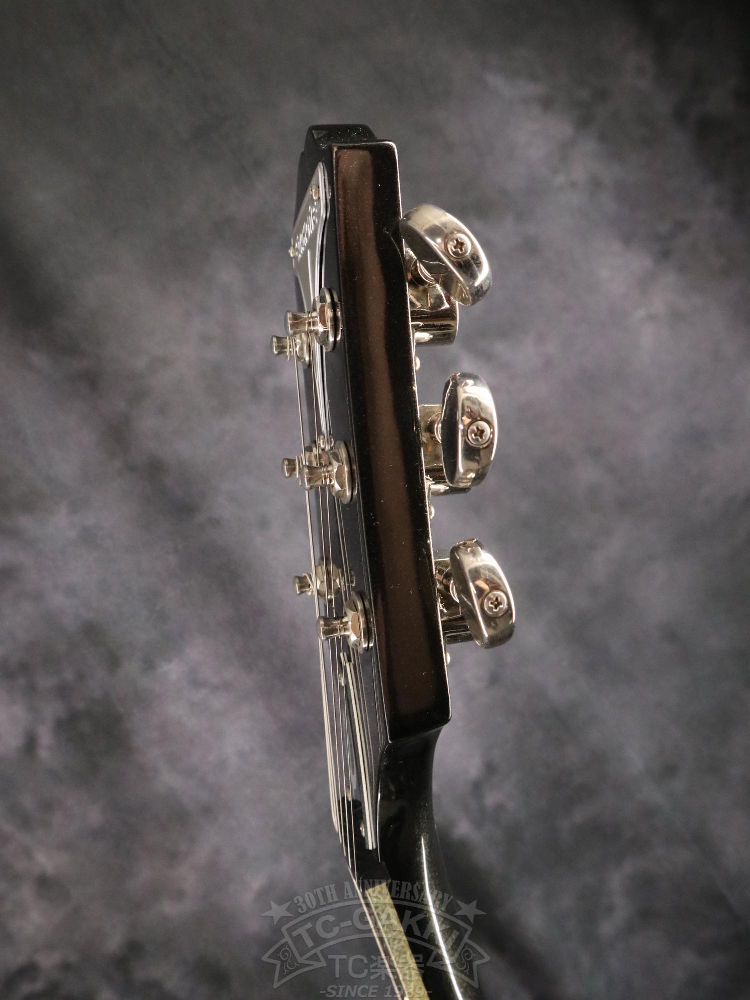 Epiphone WILDKAT