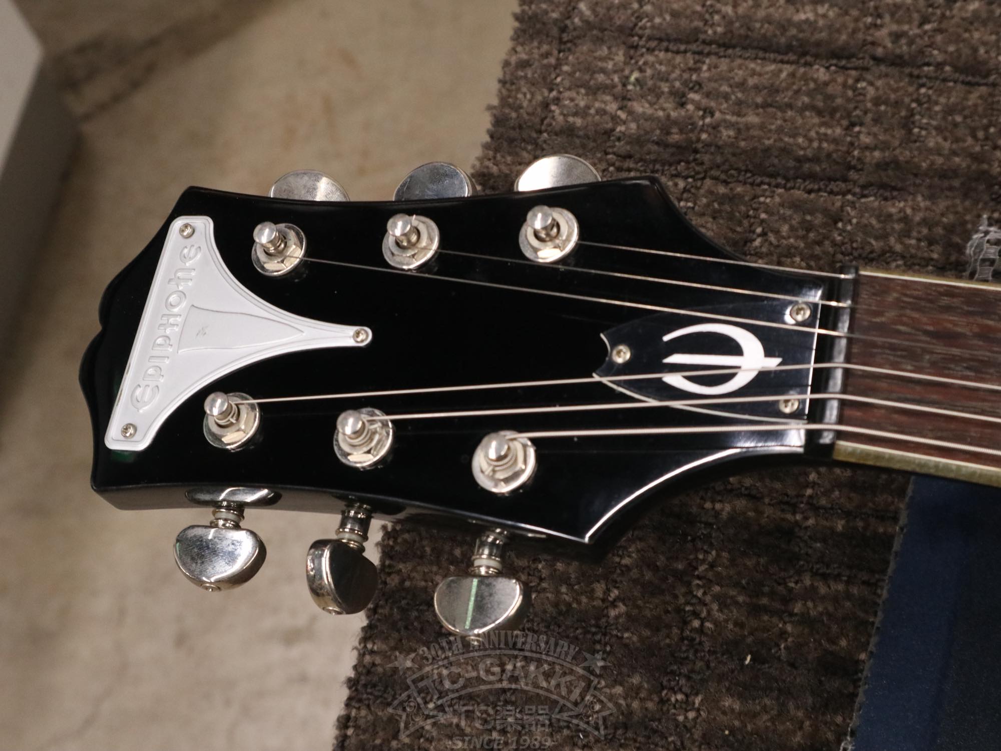 Epiphone WILDKAT