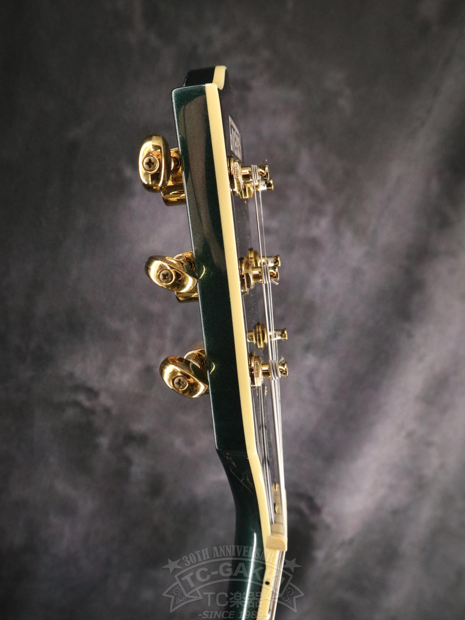 Gretsch G5655TG Electromatic