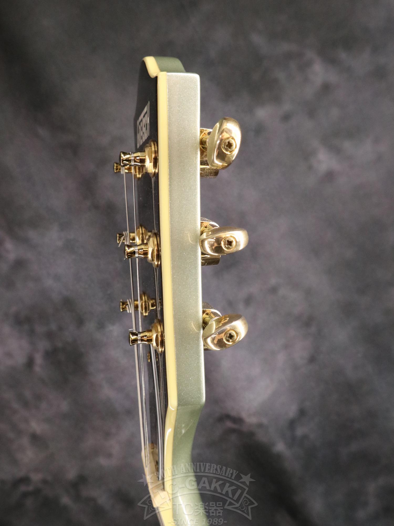 Gretsch G5655TG Electromatic