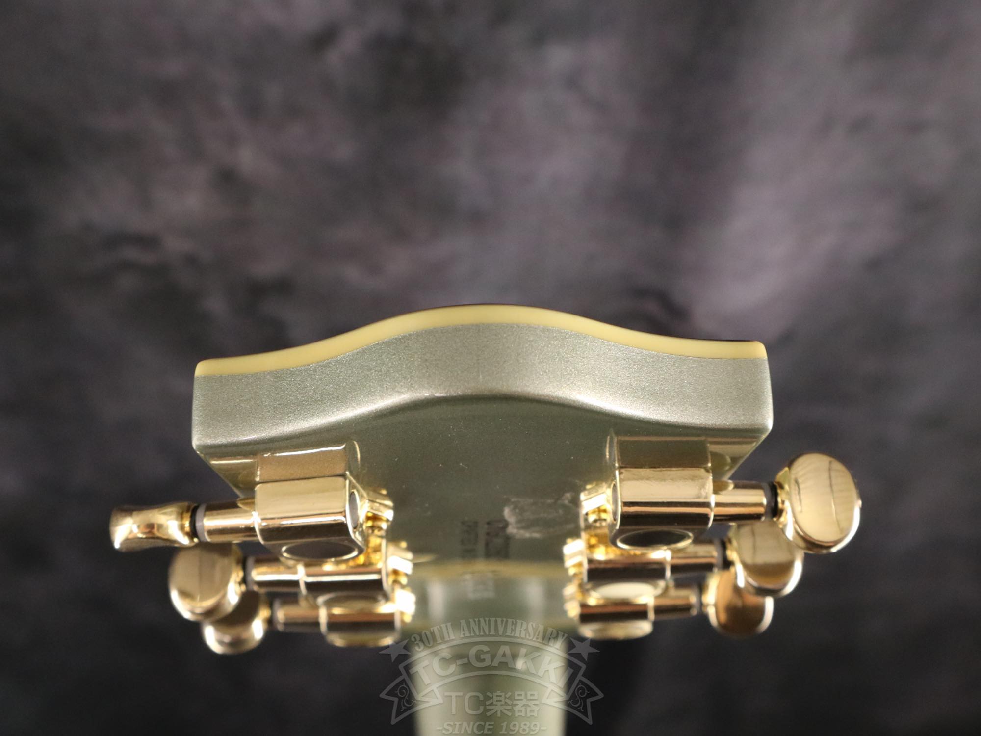 Gretsch G5655TG Electromatic