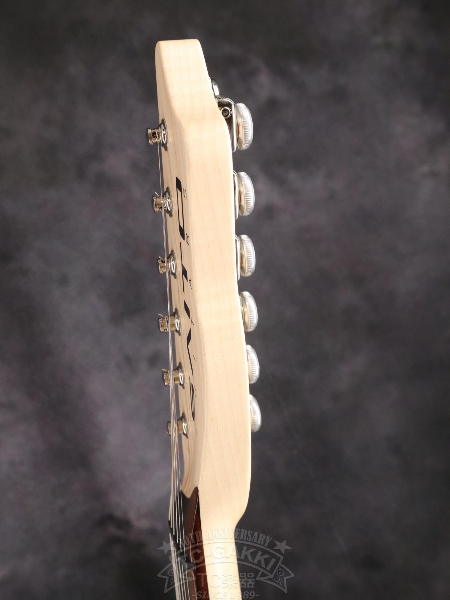 SAITO Guitars S-622CS Mod