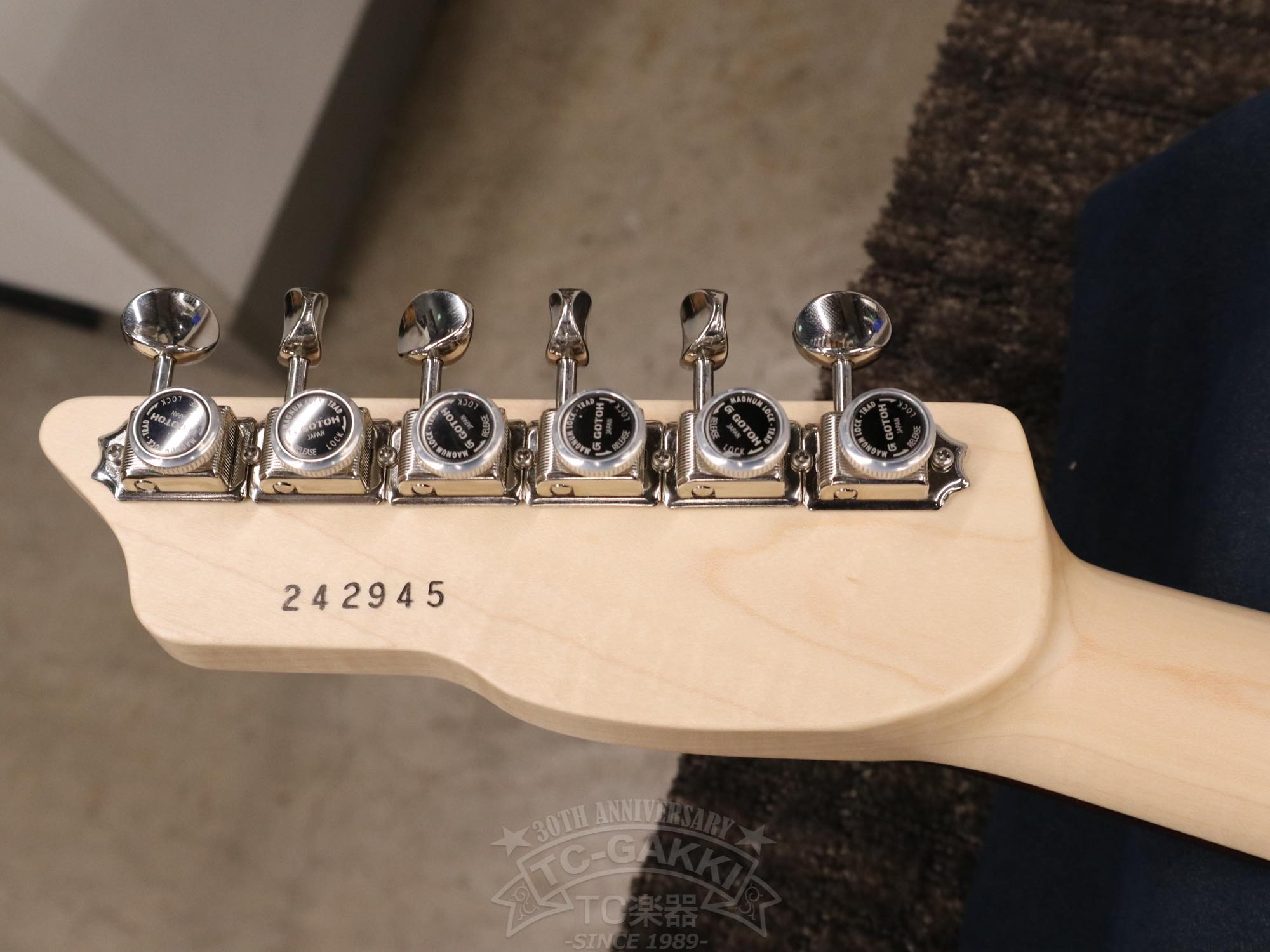 SAITO Guitars S-622CS Mod