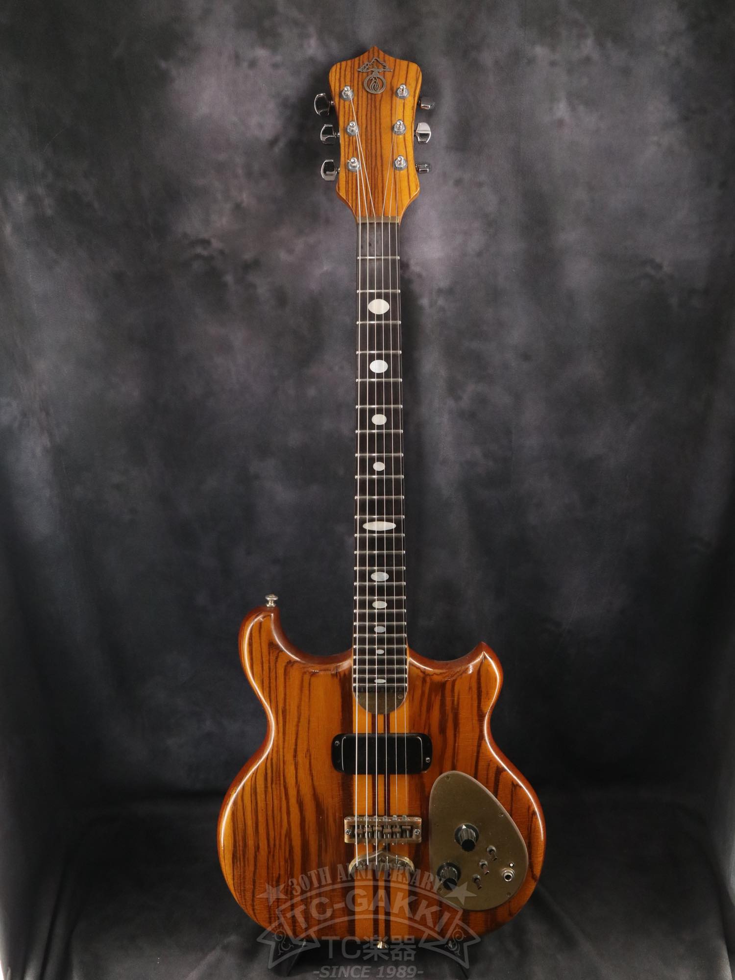 Alembic Distillat Gitarre 