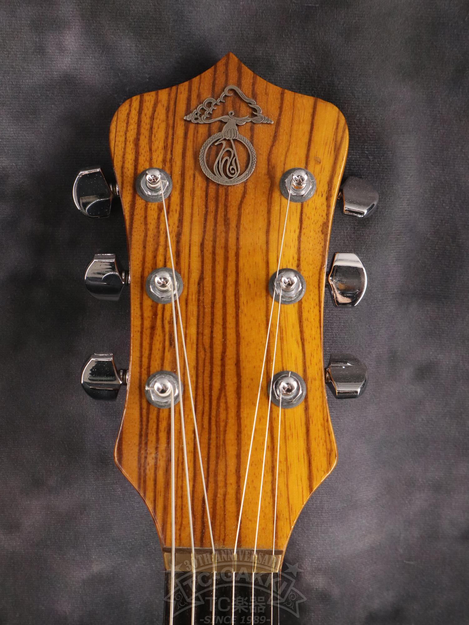 Alembic Distillat Gitarre 