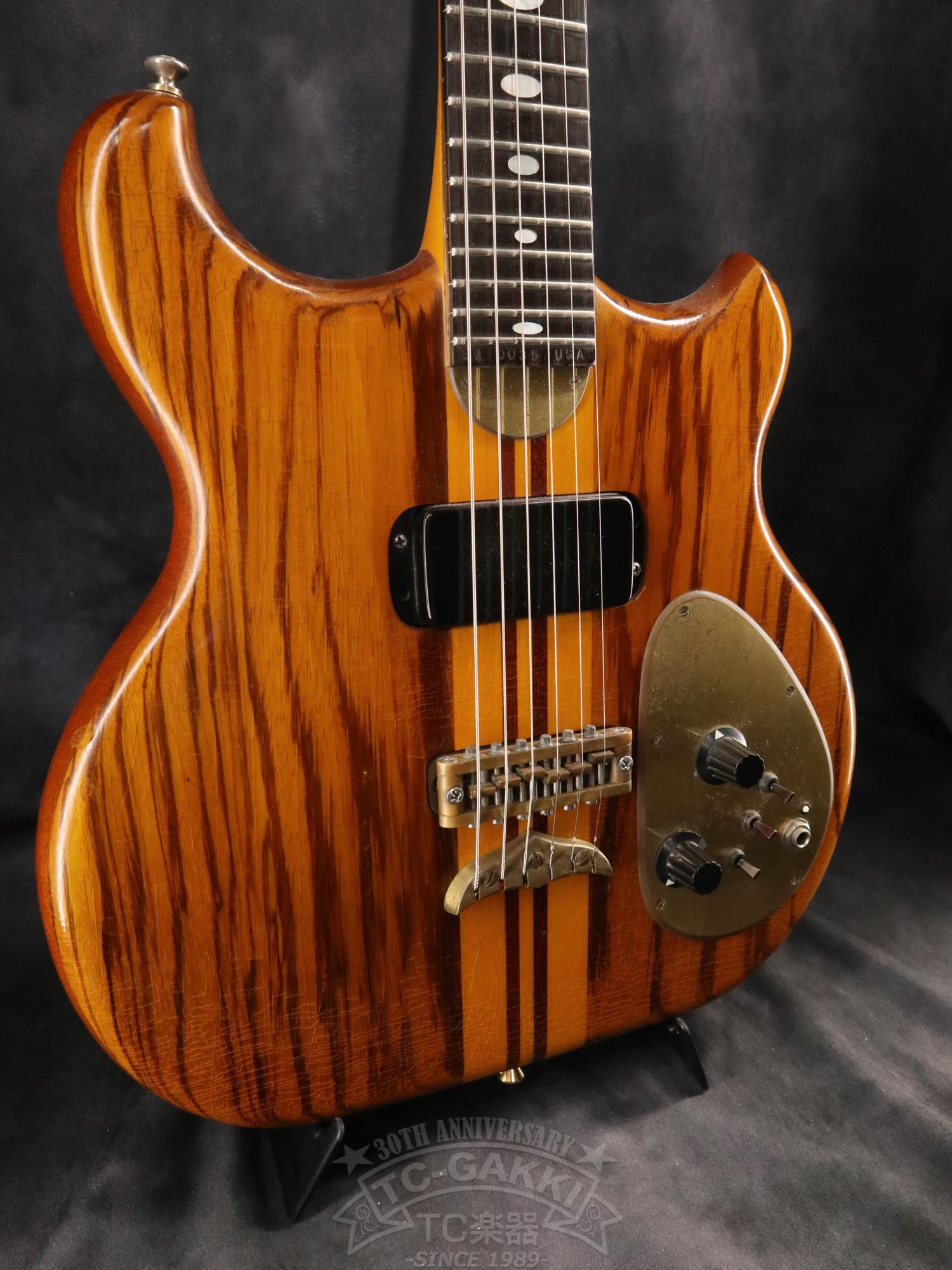 Alembic Distillat Gitarre 