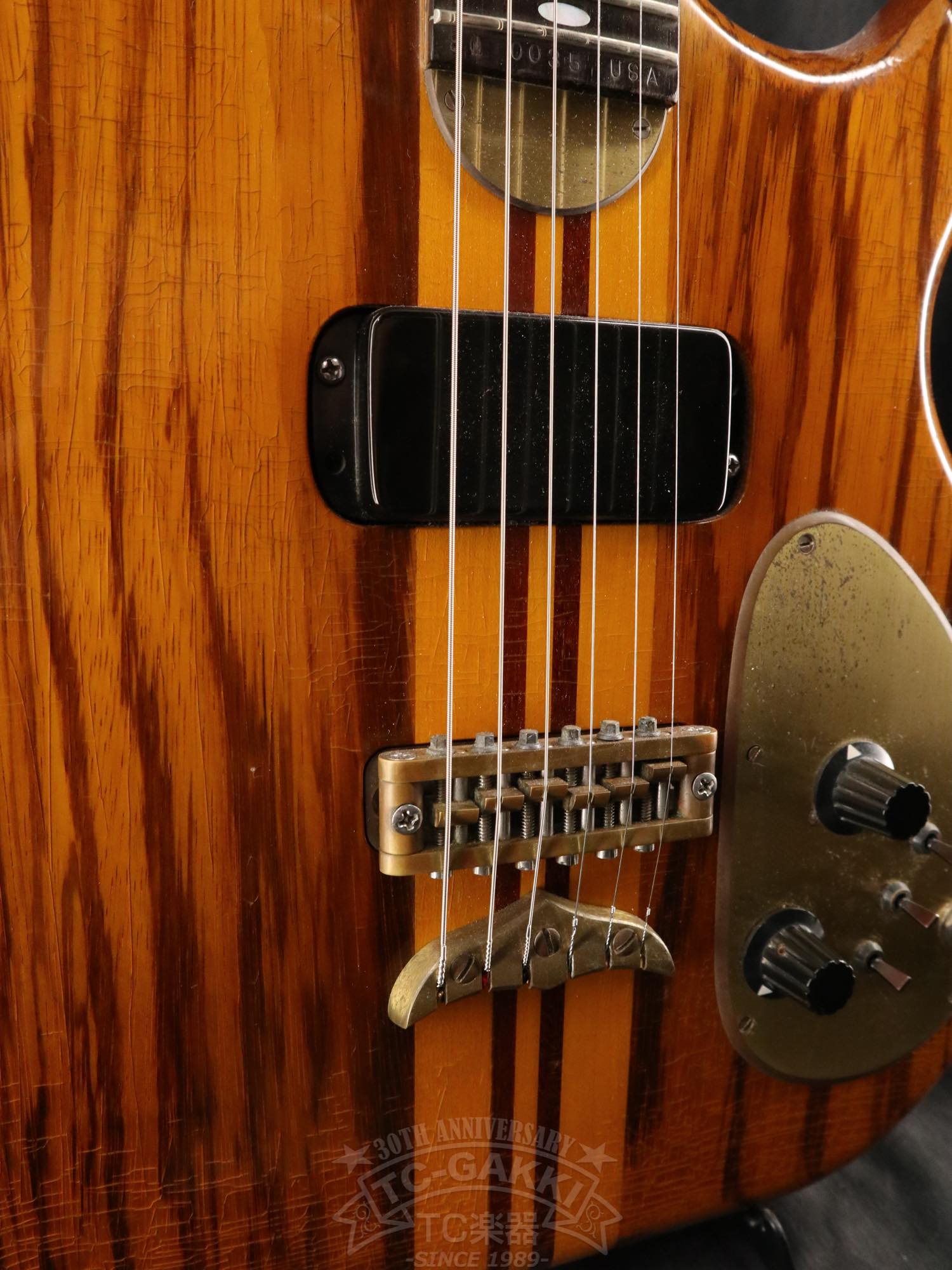 Alembic Distillat Gitarre 