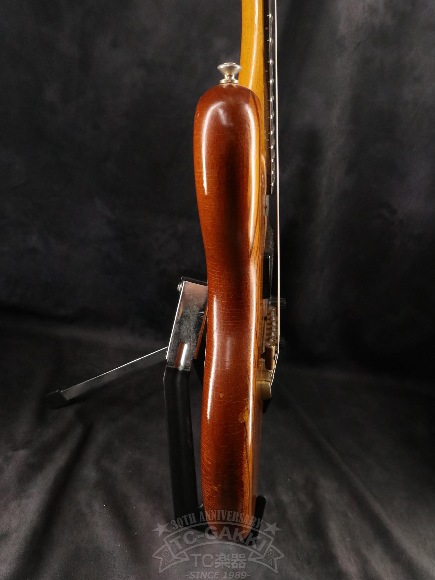 Alembic Distillat Gitarre 