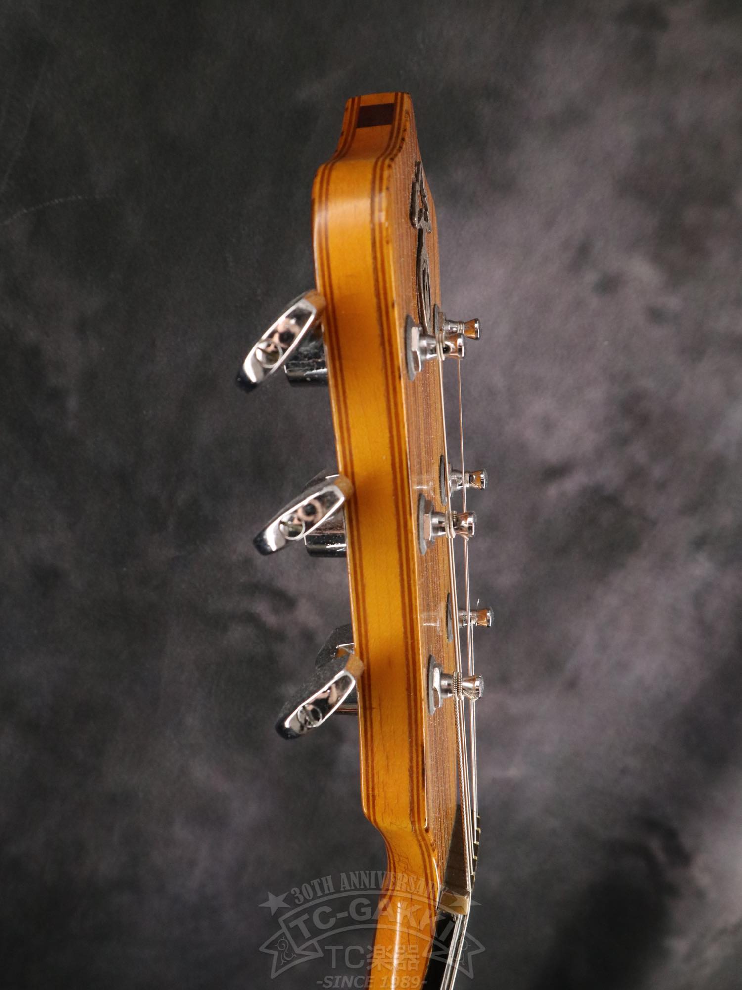 Alembic Distillat Gitarre 