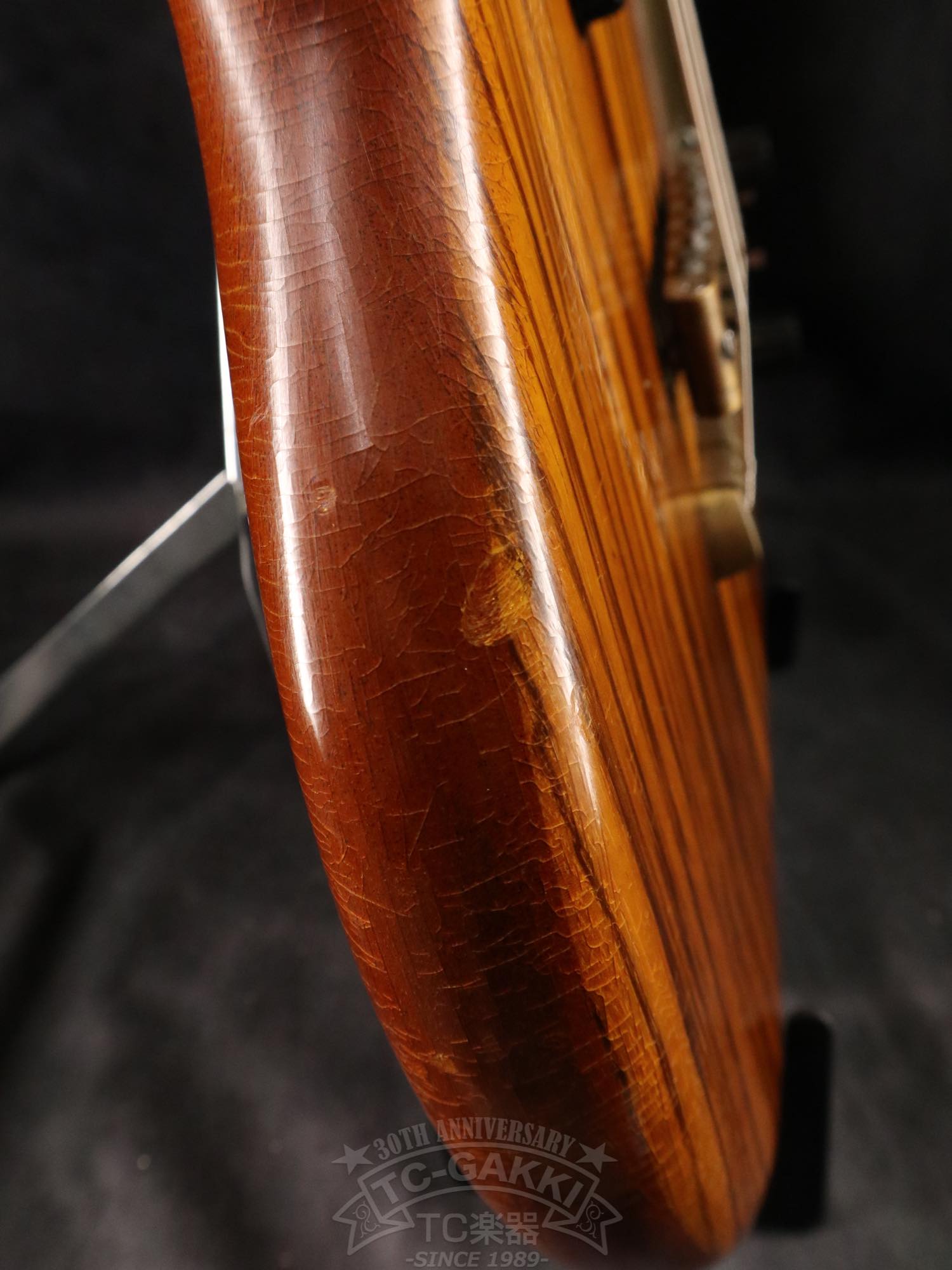 Alembic Distillat Gitarre 