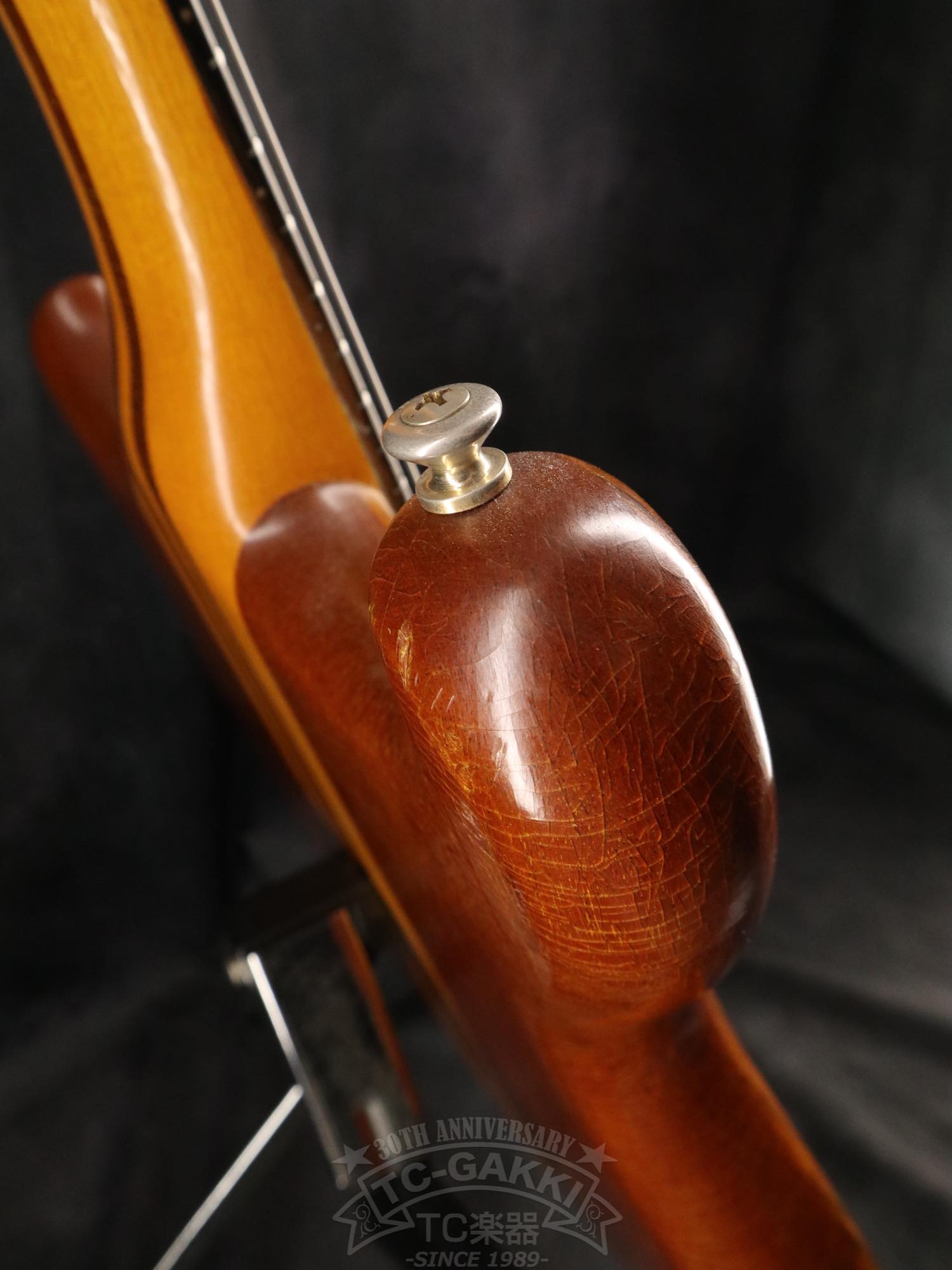 Alembic Distillat Gitarre 