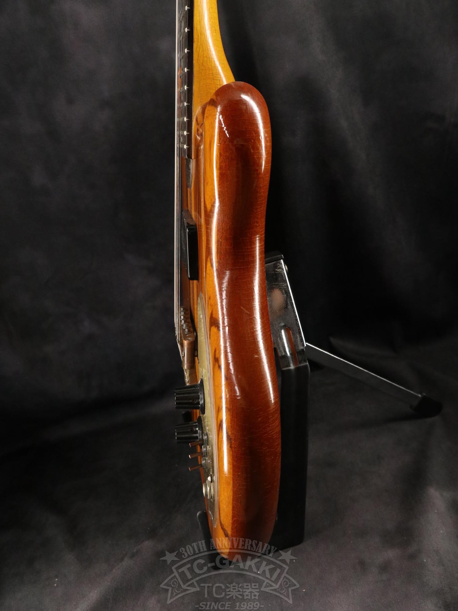 Alembic Distillat Gitarre 