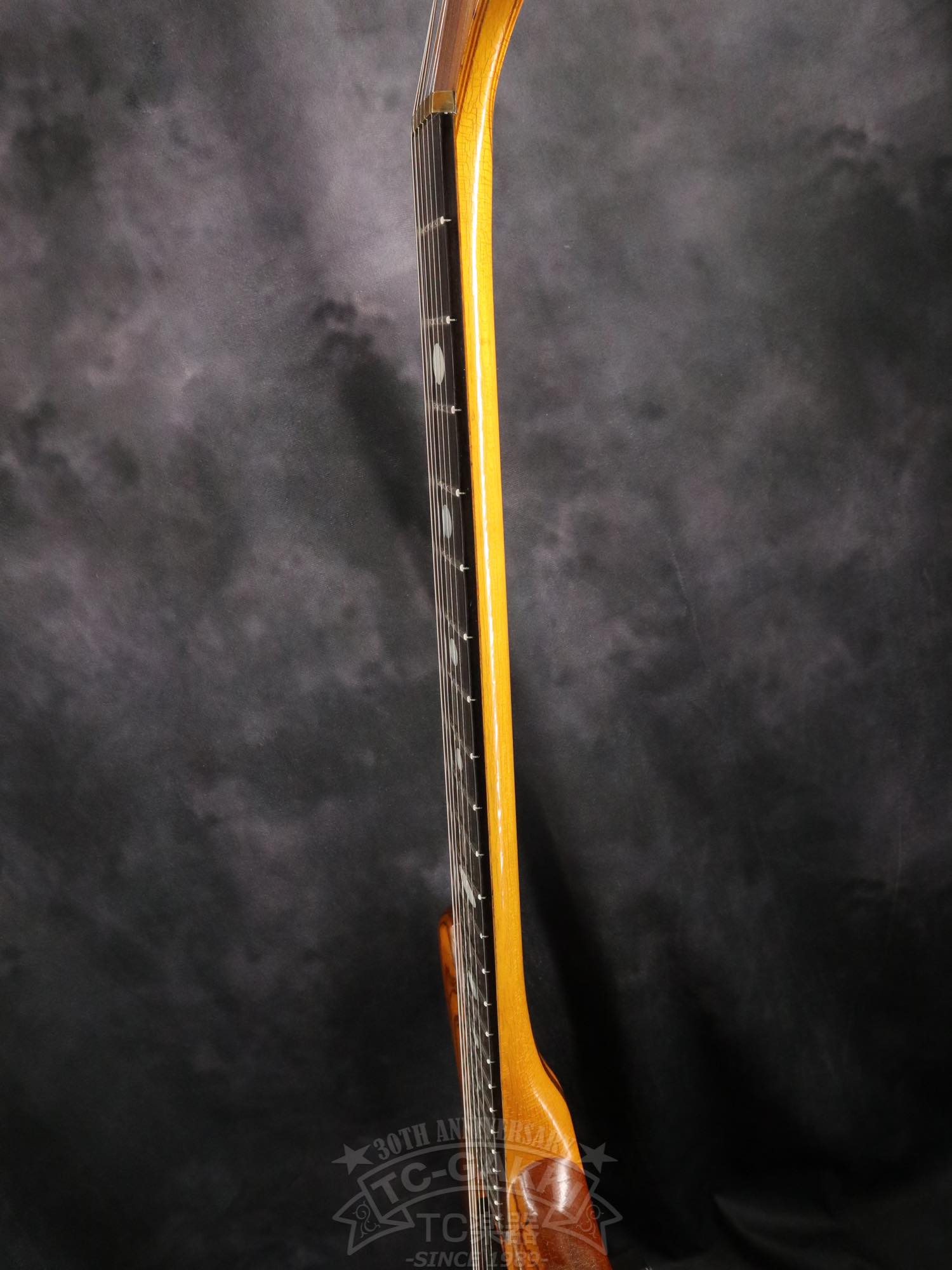 Alembic Distillat Gitarre 