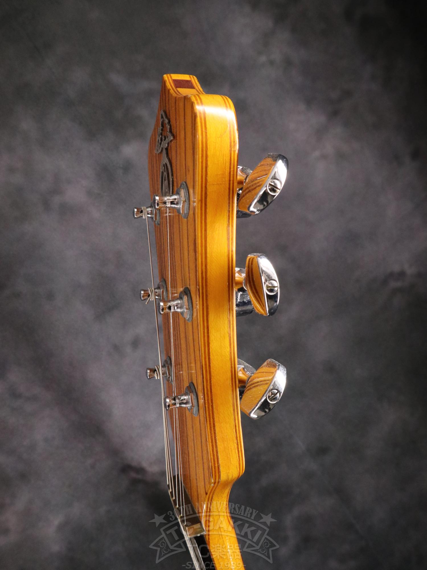 Alembic Distillat Gitarre 