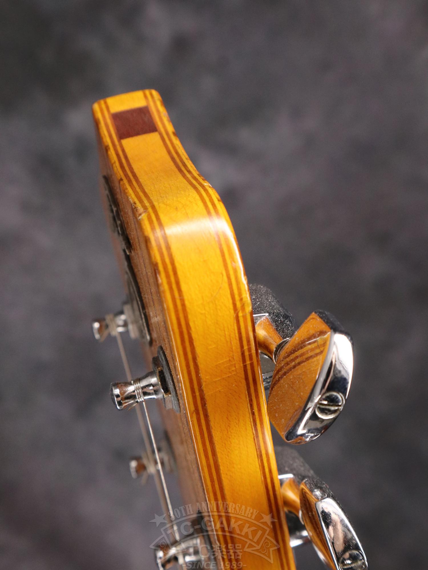 Alembic Distillat Gitarre 