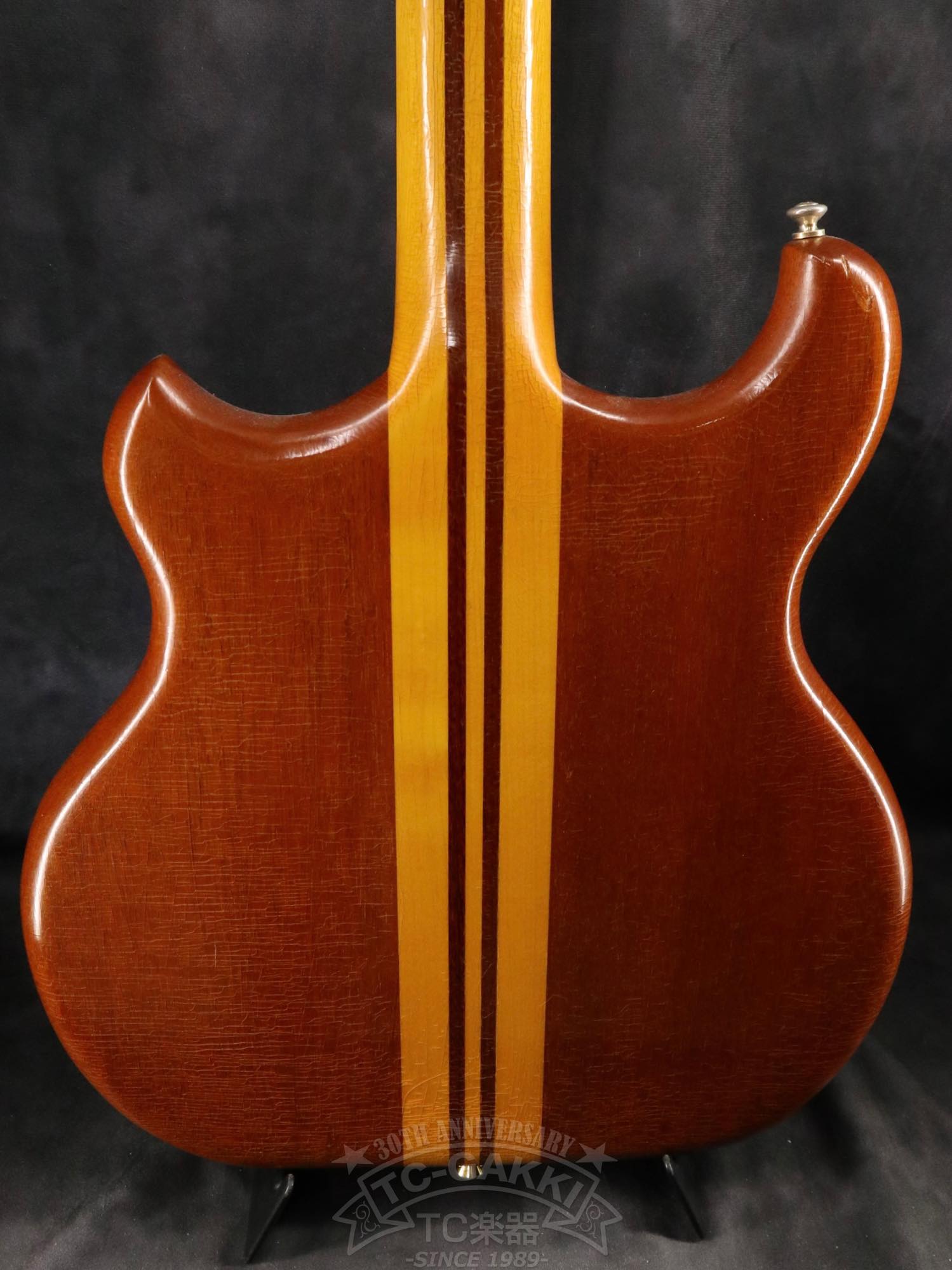 Alembic Distillat Gitarre 