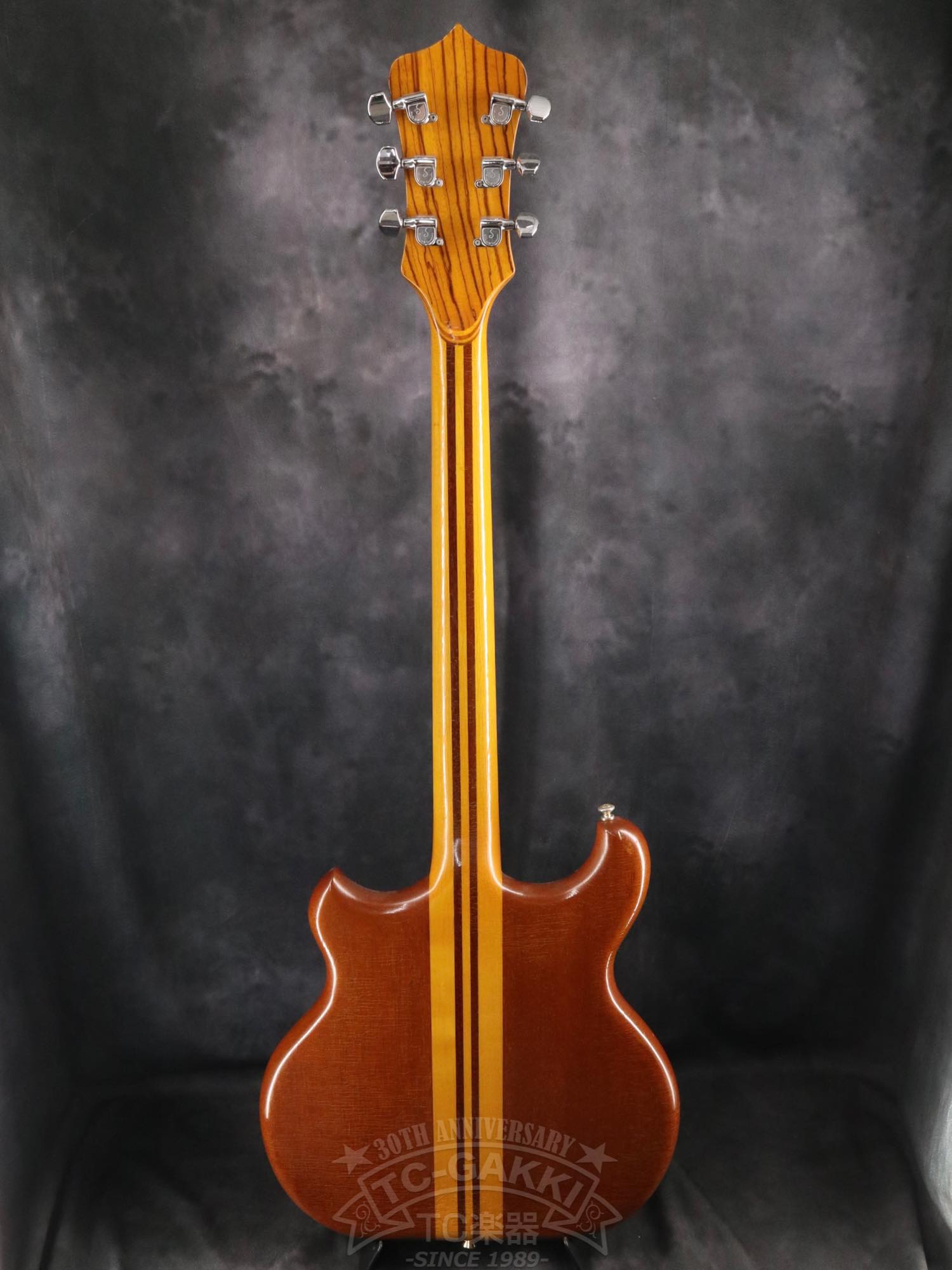Alembic Distillat Gitarre 