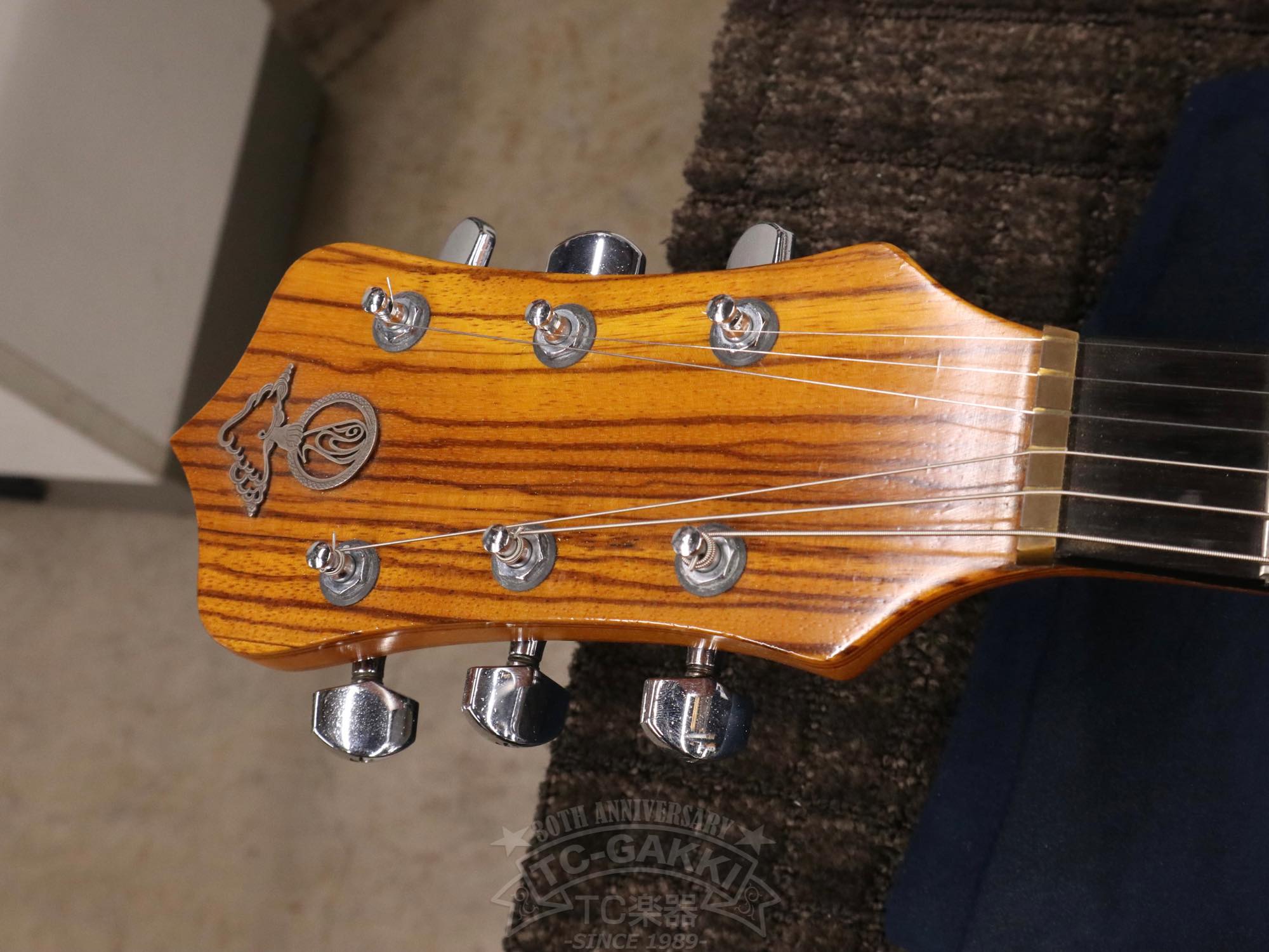 Alembic Distillat Gitarre 