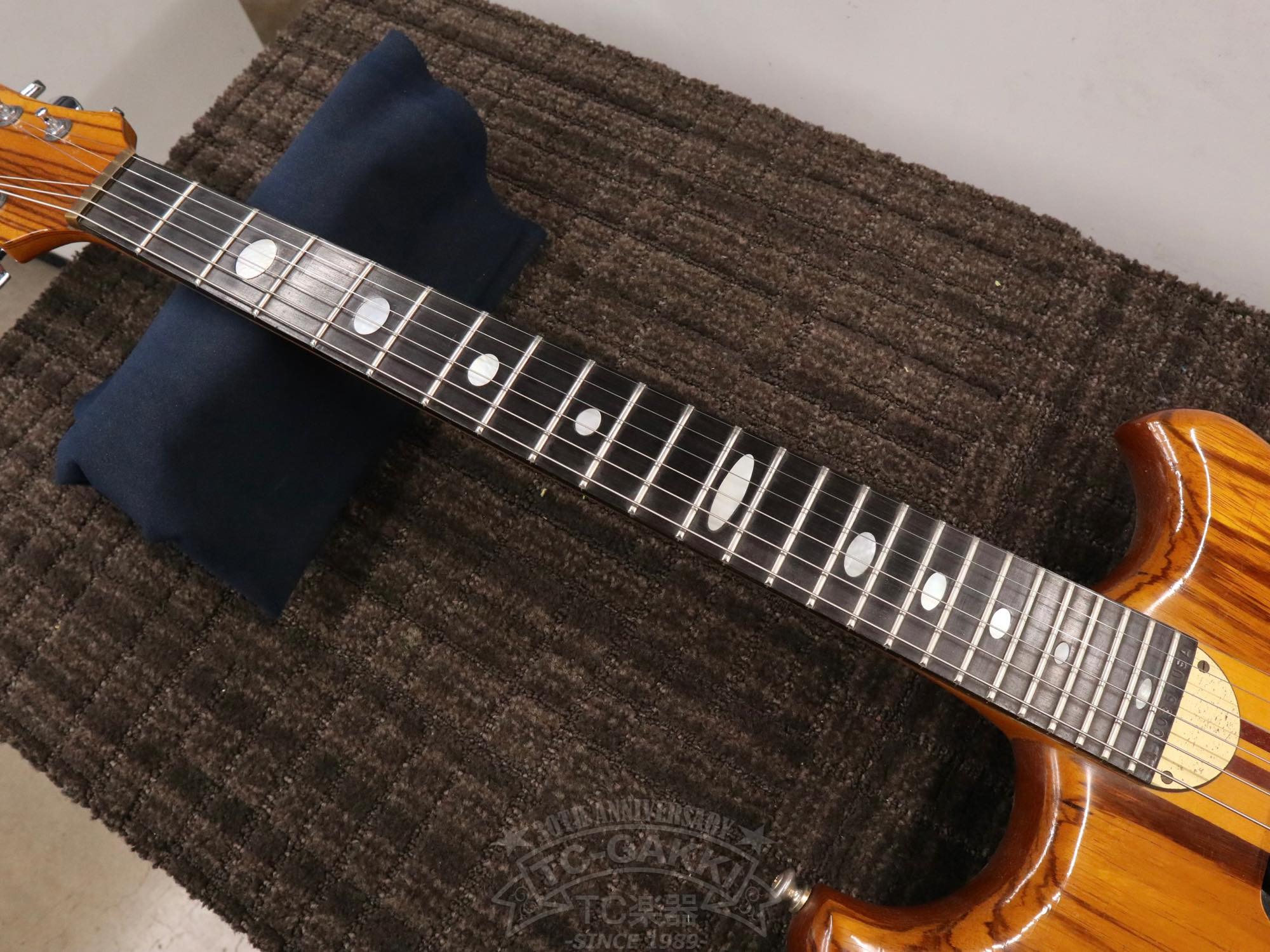 Alembic Distillat Gitarre 