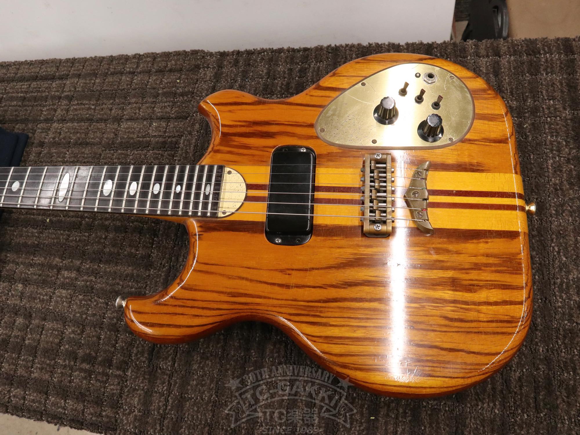 Alembic Distillat Gitarre 