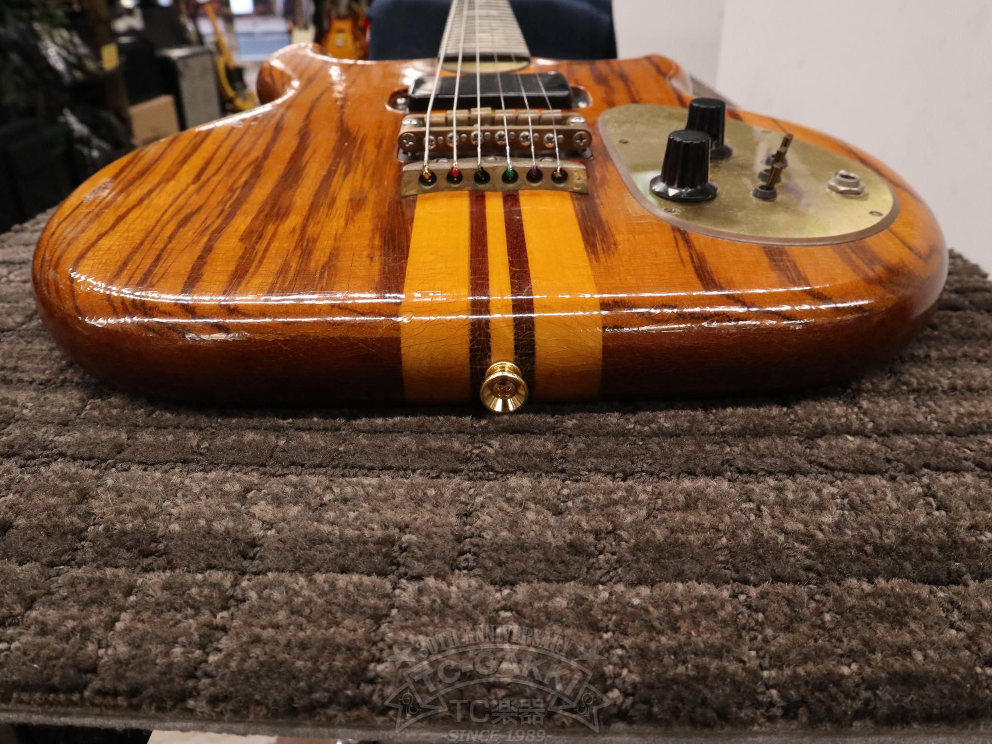 Alembic Distillat Gitarre 