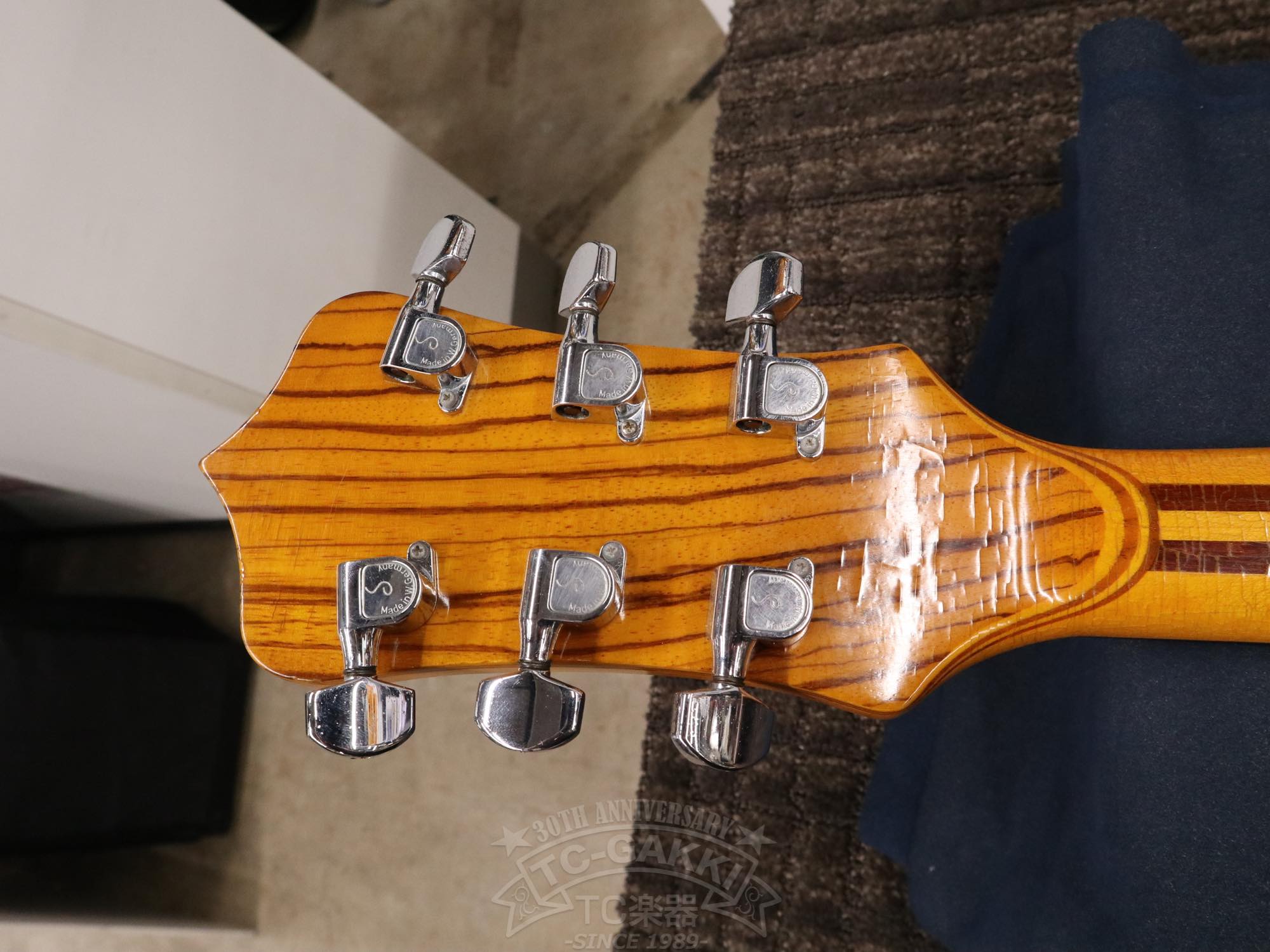 Alembic Distillat Gitarre 