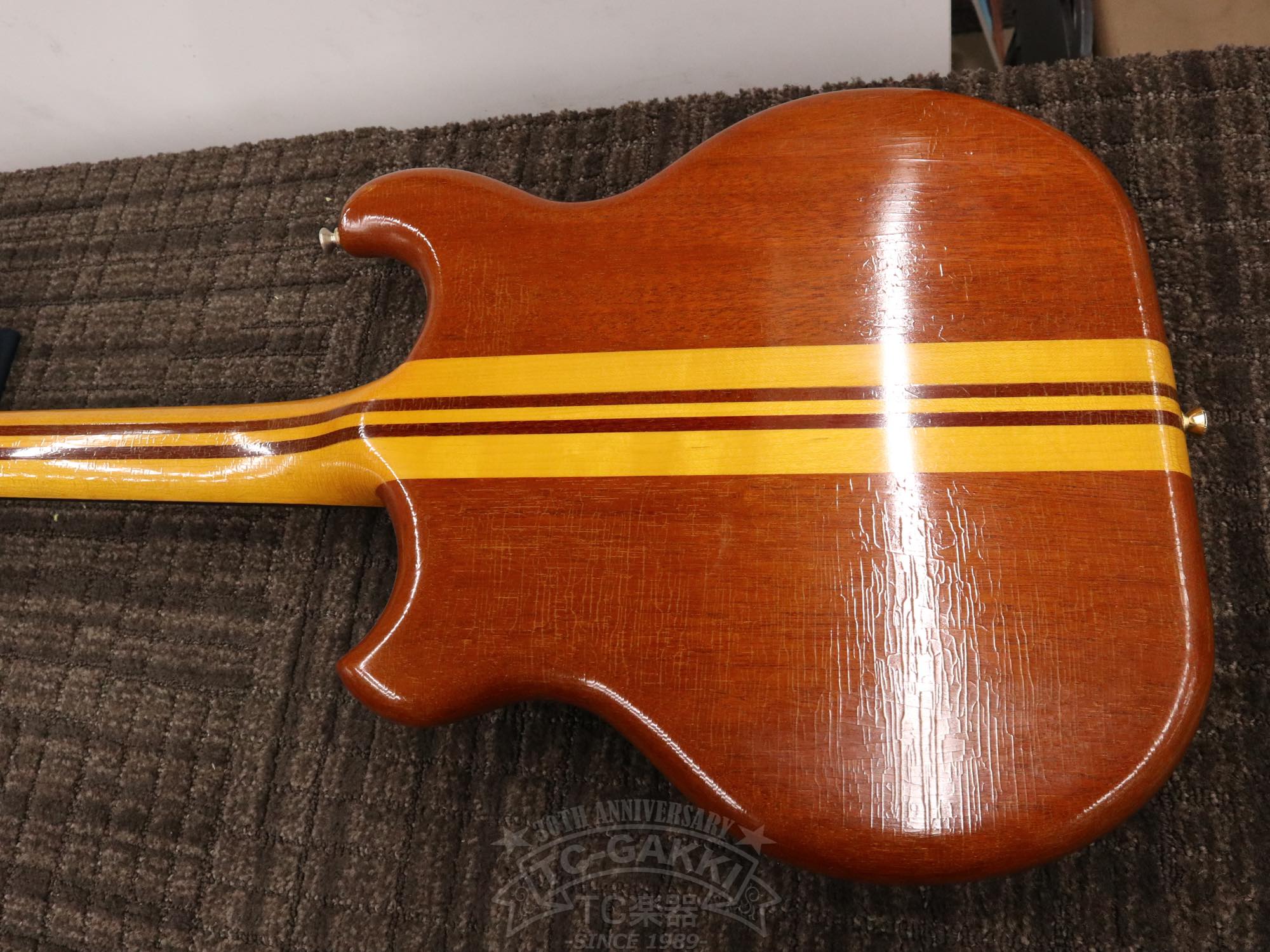 Alembic Distillat Gitarre 
