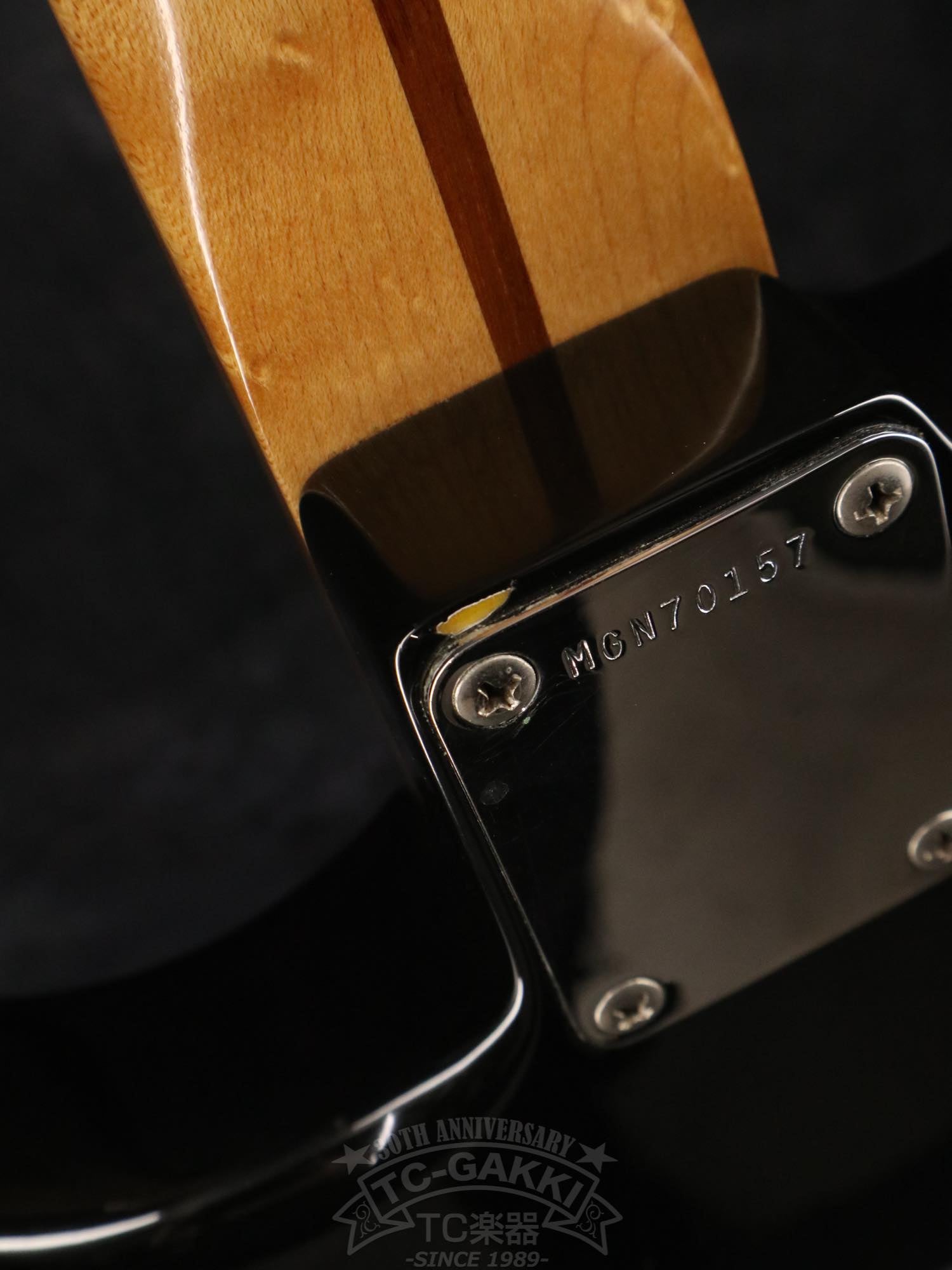 Fender Custom Shop Compornent Stratocaster