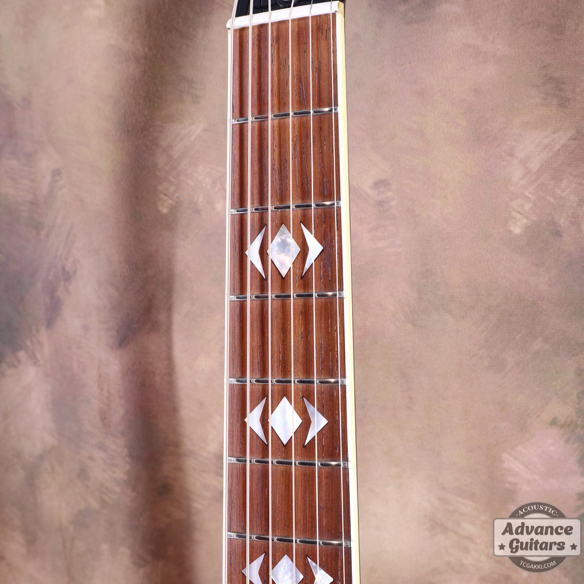 Gibson 2002年製 Luthier's Choice Advanced Jumbo