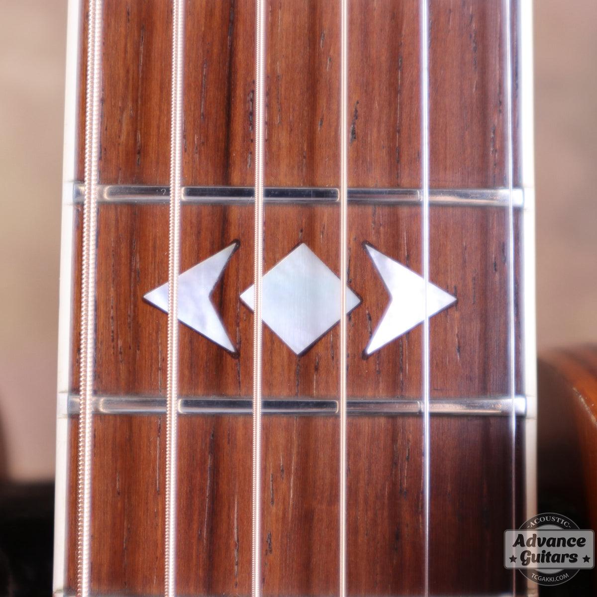 Gibson 2002年製 Luthier's Choice Advanced Jumbo
