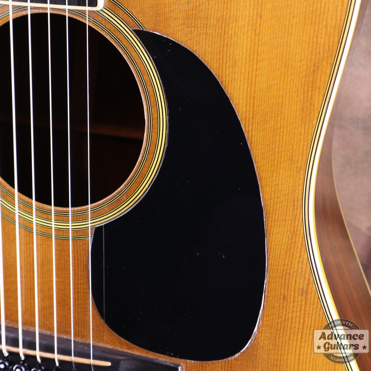 Martin 1979年製 D-35