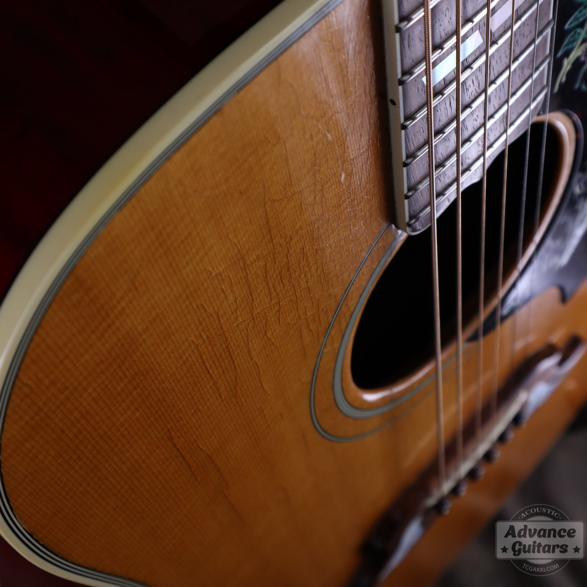 Gibson 1996-97年製 Dove in Flight