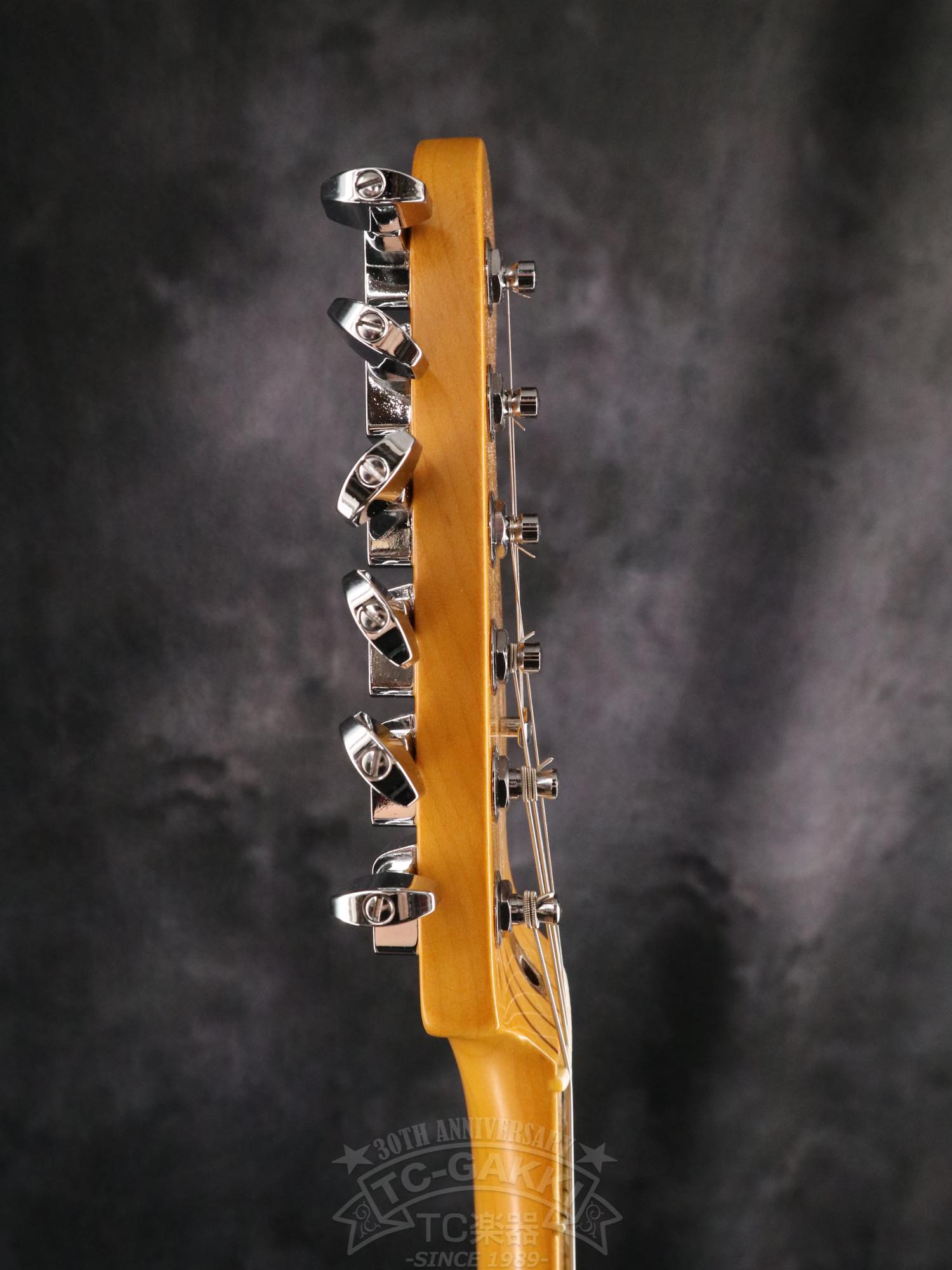 Fender USA American Professional II Stratocaster