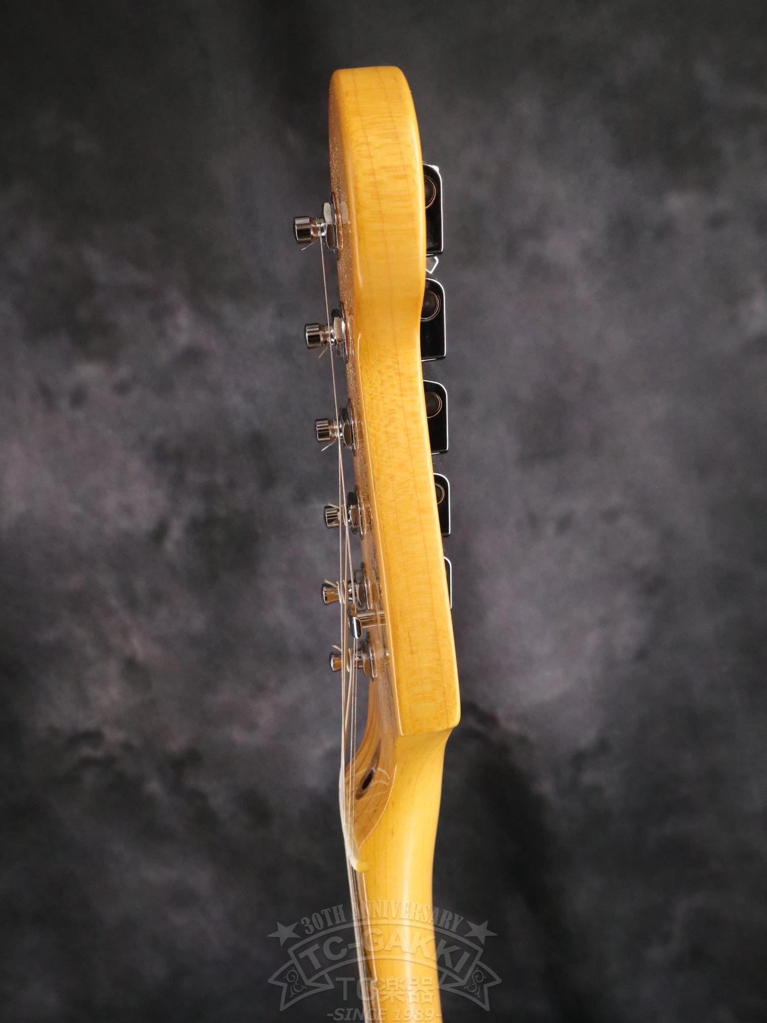 Fender USA American Professional II Stratocaster