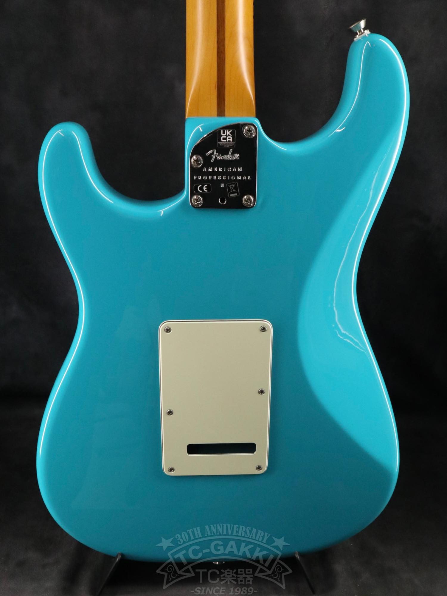 Fender USA American Professional II Stratocaster