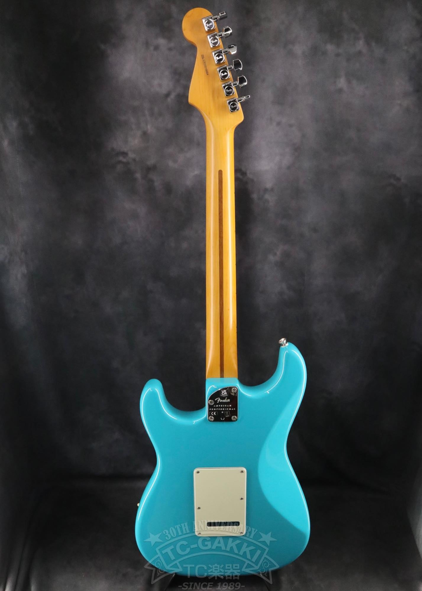 Fender USA American Professional II Stratocaster