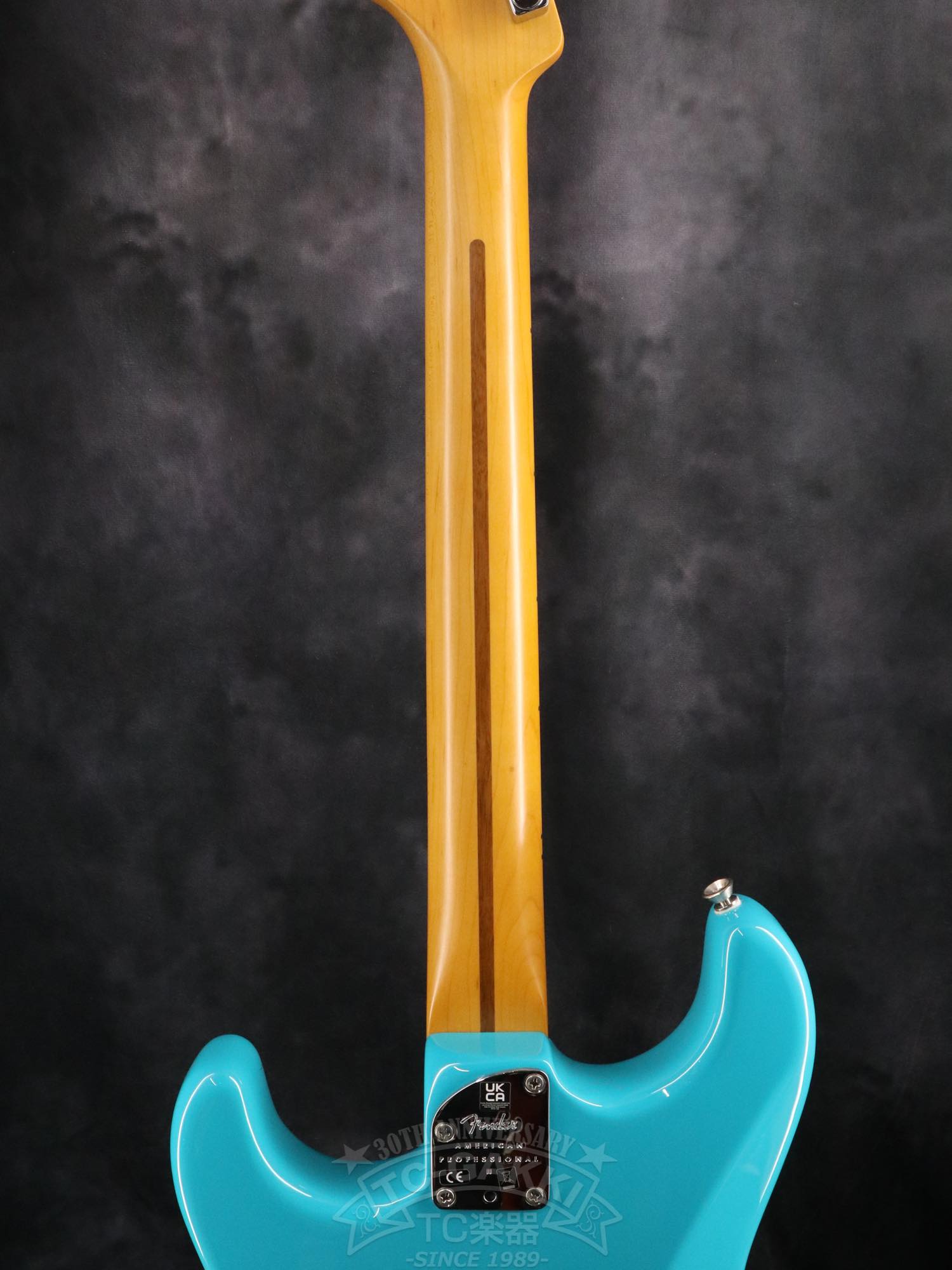 Fender USA American Professional II Stratocaster